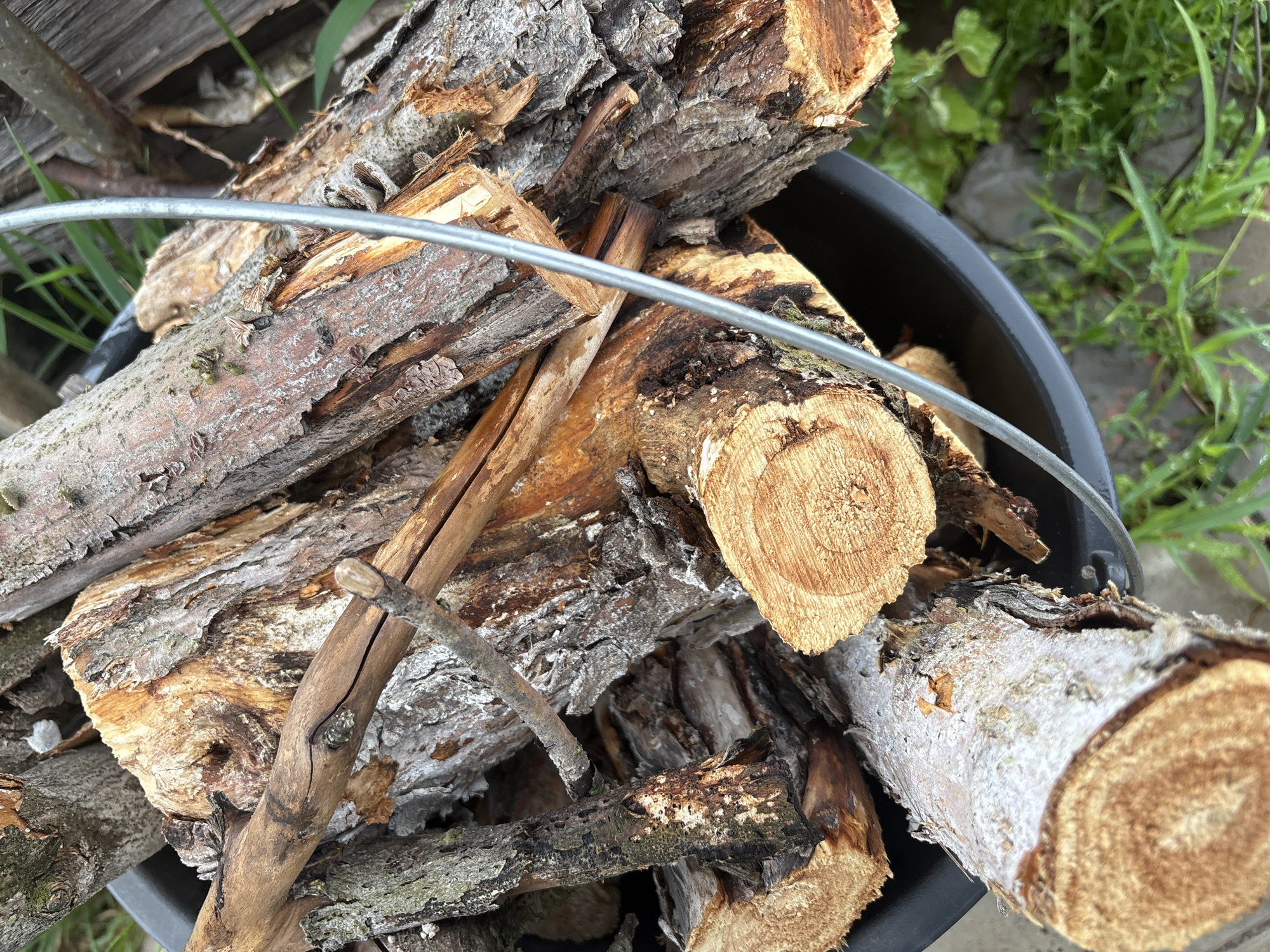 A close-up shot captures a pile of freshly cut firewood neatly arranged in a black bucket. The wood varies in size and texture, with some pieces showcasing rough, grey bark while others reveal smooth, light brown interiors. Thin, delicate branches are interspersed throughout the larger logs, adding a rustic touch to the composition. A thin, silver metal wire loops over the firewood, suggesting it might be part of a handle or a securing mechanism for the bucket. The background is softly blurred, hinting at an outdoor setting with hints of green grass and possibly a wooden fence. The lighting appears to be natural daylight, casting subtle shadows and highlighting the natural textures of the wood. The scene evokes a sense of preparation for a fire, perhaps for warmth or cooking, and suggests a rural or outdoor environment. There is no visible text in the image.