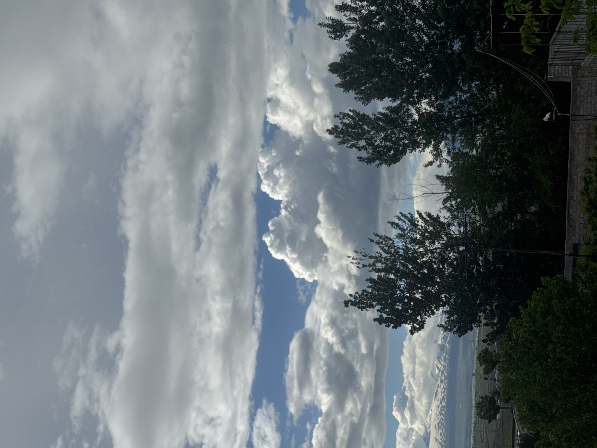 The image captures a sky dominated by towering cumulus clouds, streaked with patches of blue. Two trees are positioned in the right of the frame. A landscape of snow-capped mountains is visible at the bottom of the picture. The photo seems to have been taken in Yerevan, Armenia.