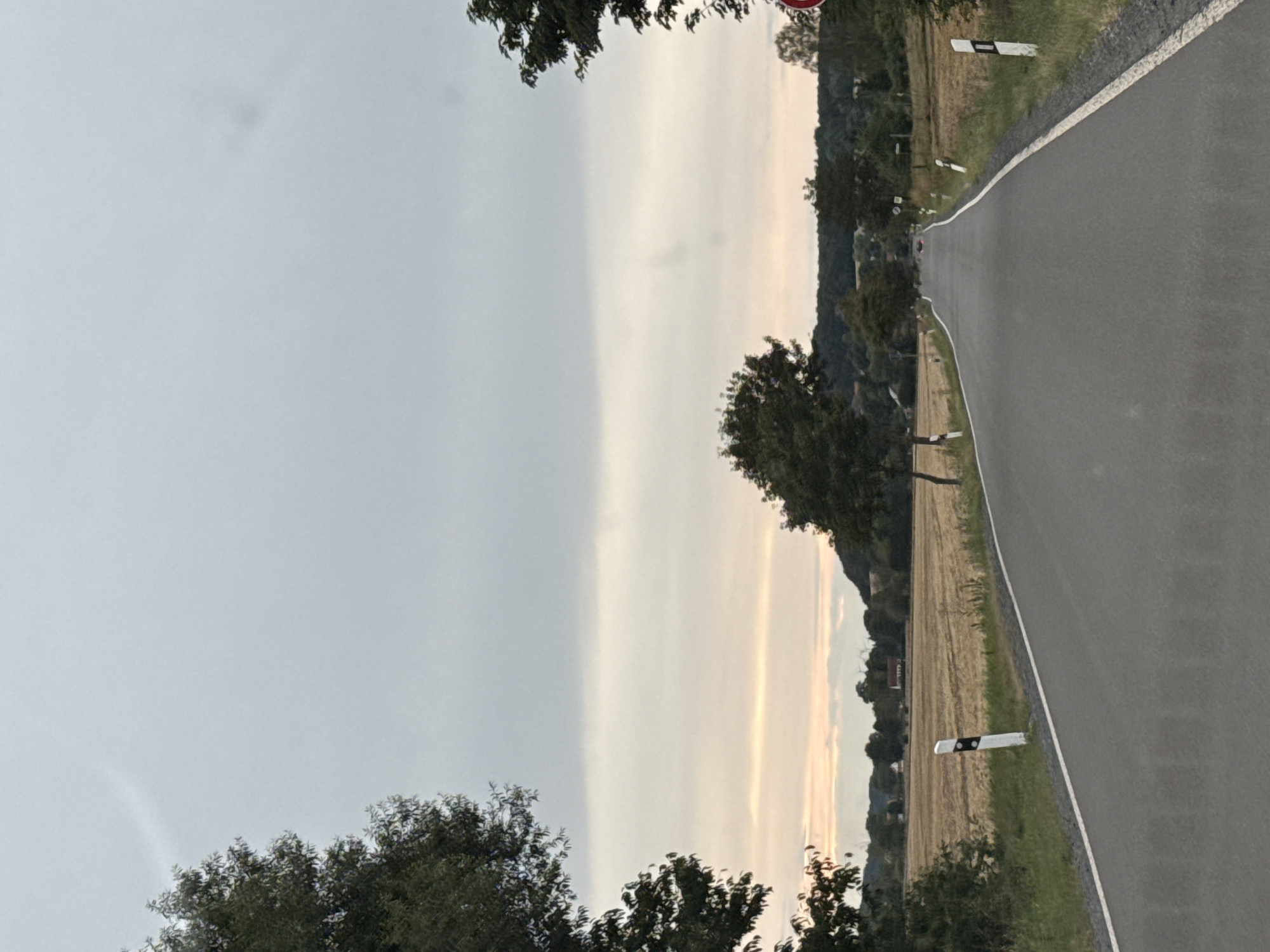 The image shows a paved road leading into the distance, bordered by fields and trees. The sky is overcast with a hint of sunset colors. There are a few houses visible in the background, nestled among trees. The road is marked with white lines and has white posts with black reflective markers along its sides. A red and white circular sign is visible on the right side of the road in the distance. The scene appears to be a rural area. Based on the visual cues, the location is likely on the outskirts of Ellrich, Germany, possibly a road leading towards the countryside.