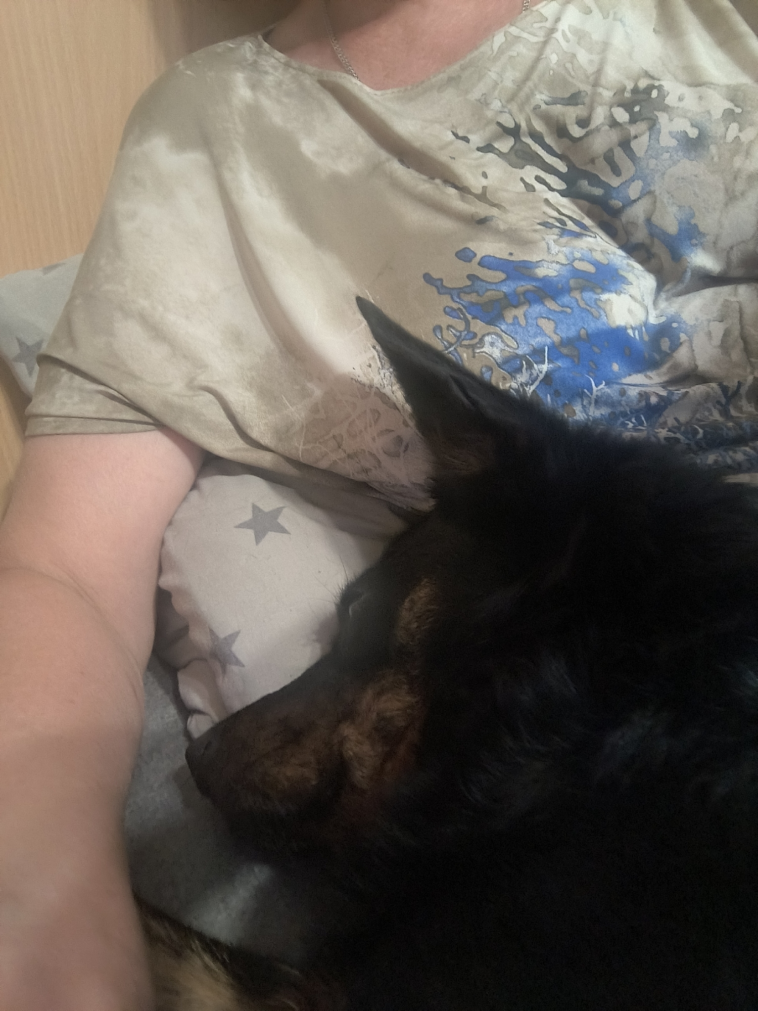 The image shows a close-up view of a person lying down with a dog. The person is wearing a light-colored t-shirt with a blue and gray abstract pattern. A pillow with gray stars is visible underneath. The dog, which appears to be a German Shepherd, is lying on its side with its head resting on the person's arm and chest. The dog has black fur on its head and back, with brown markings on its face. The background is blurred and appears to be indoors, possibly a bedroom. There are no visible indications of the location being in Mykolaiv, Ukraine.