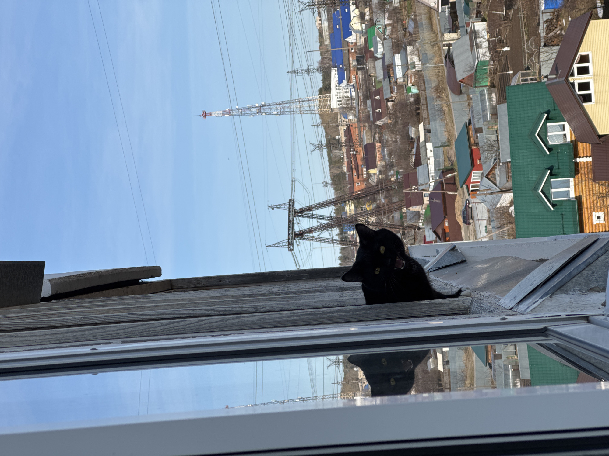 A black cat is perched on the outside ledge of a window, possibly on an upper floor, in the city of Chaikovsky, Russia. The ledge appears to be made of weathered wood. The cat is facing the camera, with its mouth slightly open, possibly meowing or panting.
Through the window, a cityscape is visible, composed of residential buildings with various roof colors and layouts. In the background, there are multiple electrical transmission towers, and power lines stretch across the sky. The sky is a clear blue.