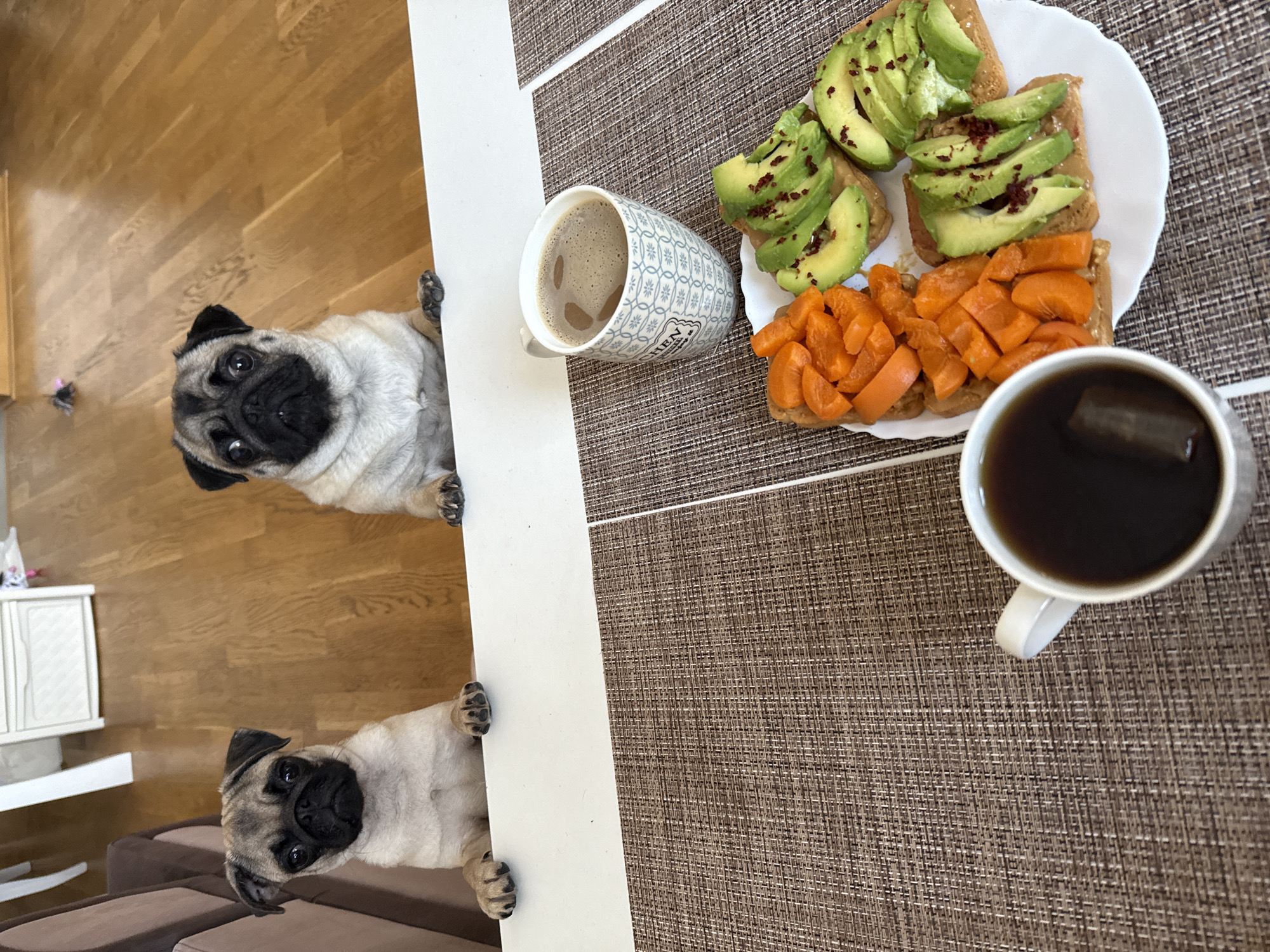 Two pug dogs are looking over a white table with a brown woven placemat. On the table, there is a plate with four pieces of toast topped with avocado slices and chopped orange fruit. There are two mugs of coffee on the table, one with a decorative pattern and the other a simple white mug. The dogs' paws are resting on the table. In the background, a wooden floor and white furniture are visible.