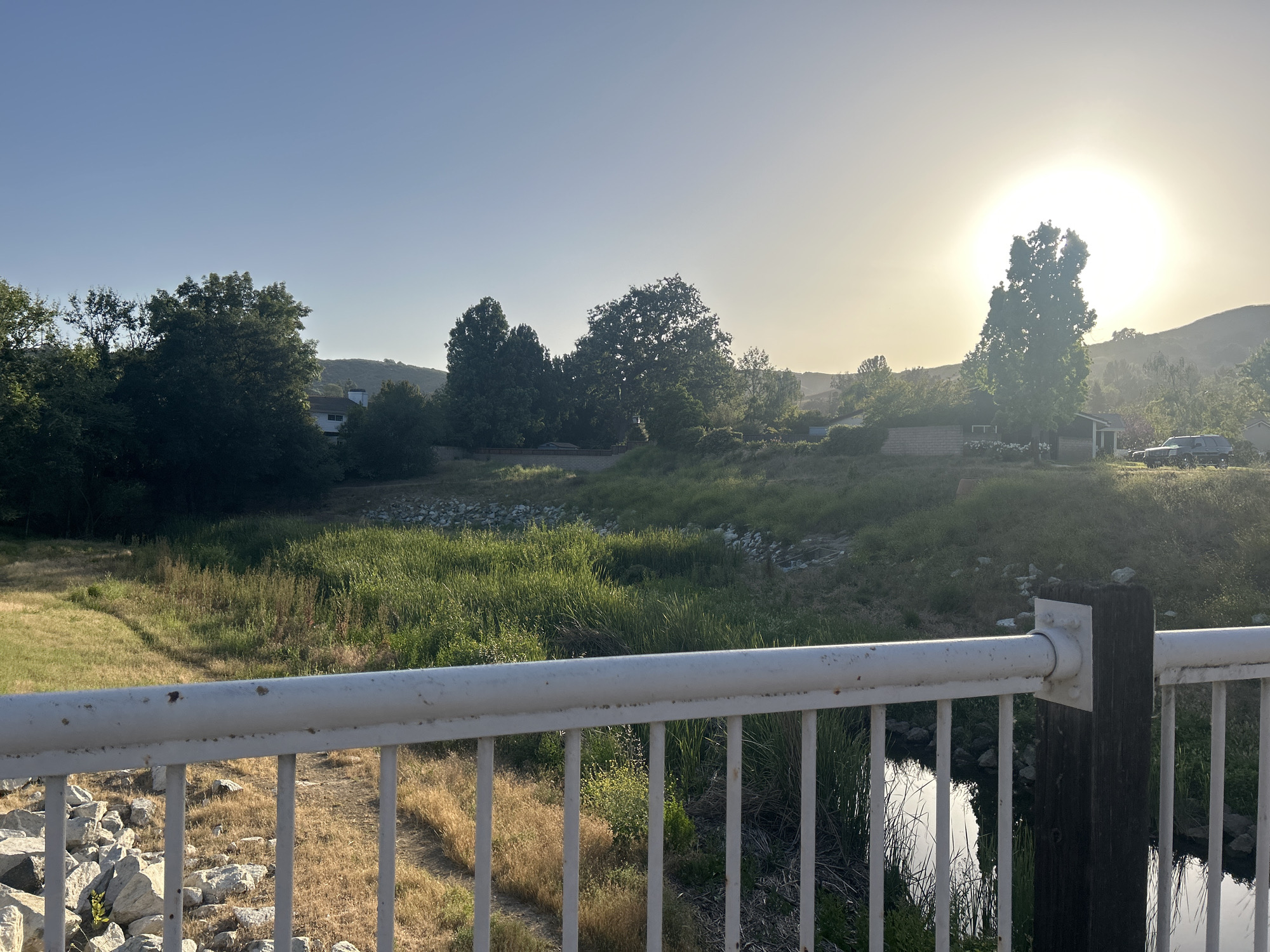 The image presents a serene natural landscape, captured from an elevated perspective, likely a bridge or overlook, in Agoura Hills, United States of America. A white metal railing, showing some signs of rust, spans the bottom of the frame, anchored by a dark wooden post on the right. Below the railing on the right, a narrow body of water reflects the sky, while rocks and dry grass line the immediate bank on the left.
The middle ground consists of an expansive, untamed grassy area with a mix of vibrant green and dry golden vegetation. This area appears to be a natural drainage or undeveloped land, dotted with various rocks and small bushes. Beyond this, numerous trees, ranging in size and foliage density, punctuate the landscape.
In the background, gentle hills rise under a clear, bright sky. These hills are covered with a blend of dense trees and glimpses of residential buildings, including a white house partially visible on the left and other structures further right. A dark vehicle, possibly a pickup truck or SUV, is parked near a house on the far right. The sun, a brilliant disc, is prominently positioned in the upper right quadrant of the sky, indicating either an early morning sunrise or a late afternoon sunset. Its low angle casts a warm, soft glow over the scene and suggests long shadows, though they are not distinctly visible in the full frame. The sky transitions from a light blue overhead to a bright, almost white hue around the sun. The scene evokes a sense of peace and natural beauty, with no human activity or visible text.