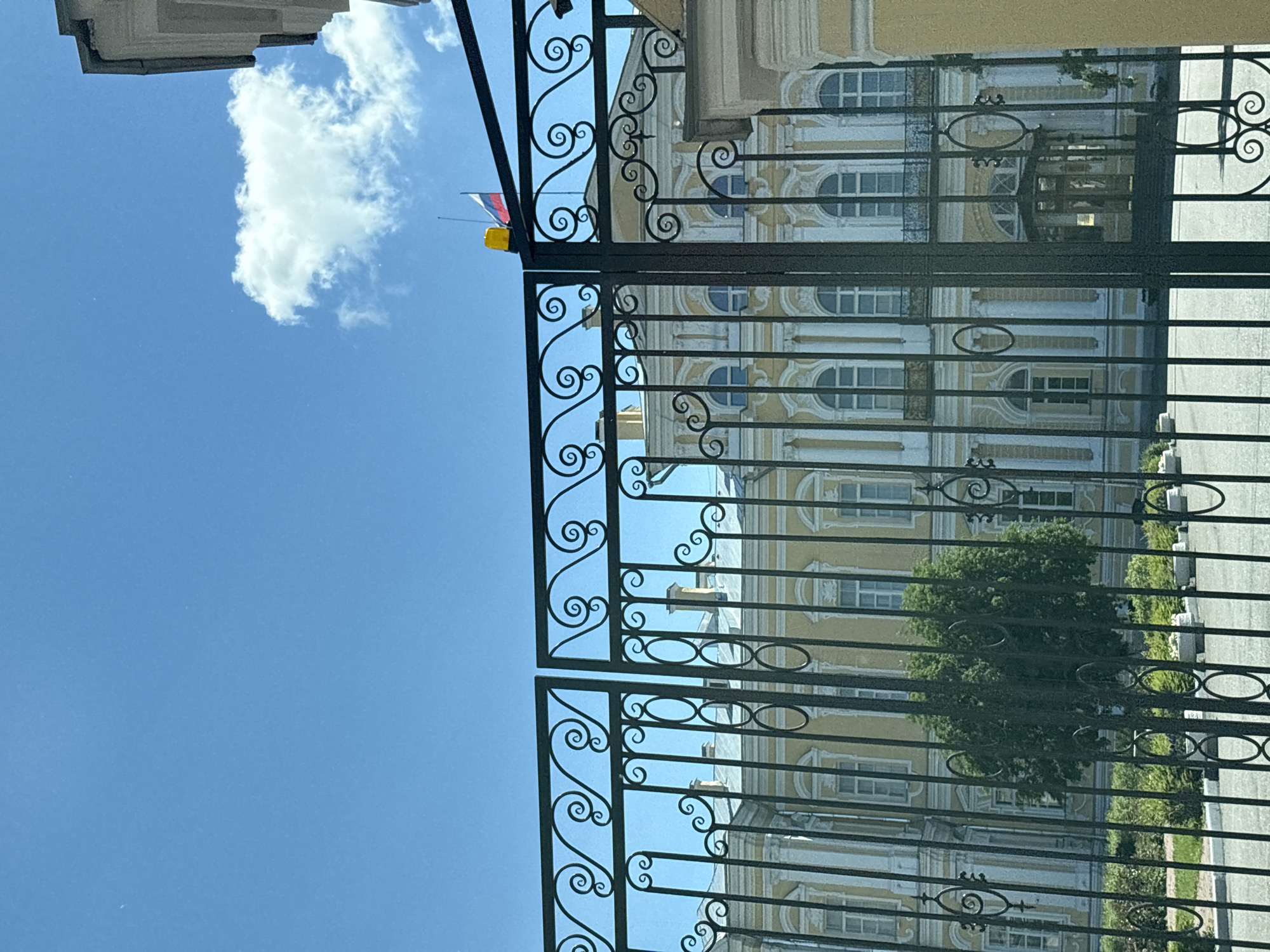 The image shows a view of the Winter Palace in Saint Petersburg, Russia, through an ornate black metal gate. The palace is a large, yellow building with white architectural details and numerous windows. A Russian flag is visible flying from the roof of the palace, along with a yellow light. The sky is blue with a few white clouds. In the foreground, the intricate design of the gate is prominent, with curved scrollwork and oval shapes. A lush green tree stands behind the gate, in front of the palace facade. The grounds in front of the palace appear to be paved with a light-colored surface.