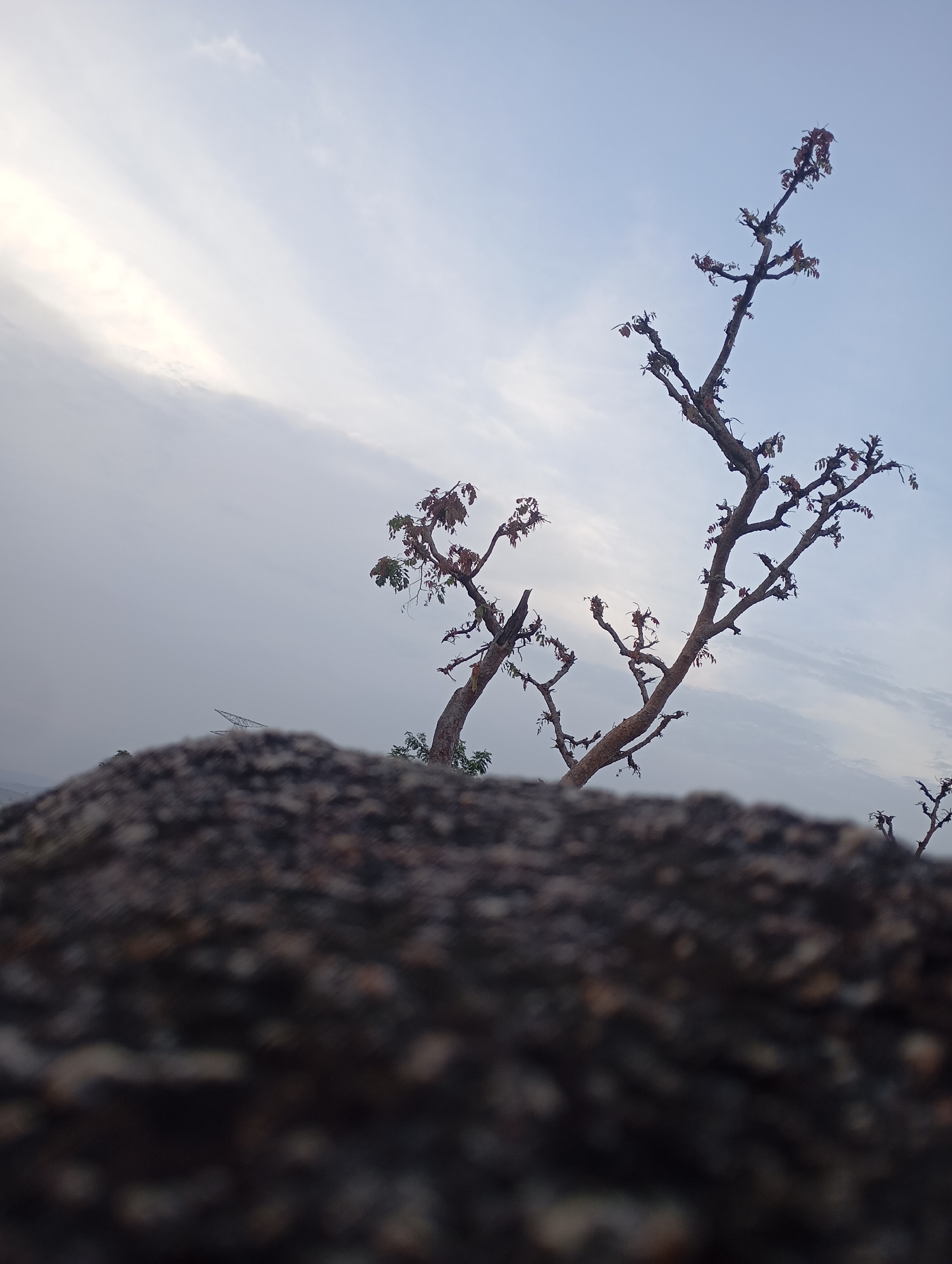 The image, taken in Uke, Nigeria, shows a close-up view of a rough, dark-colored rock formation in the foreground, which is slightly out of focus. Behind the rock, a spindly tree with thin branches extends upwards, partially silhouetted against a bright, overcast sky. The tree has sparse foliage, with a few small leaves visible on the branches. In the distance, a metallic structure, possibly a communication tower or electrical pylon, is faintly visible amidst the cloudy backdrop. The sky transitions from a bright, almost white area on the left side of the frame to a lighter blue on the right, indicative of a cloudy day. No people are visible in the scene.