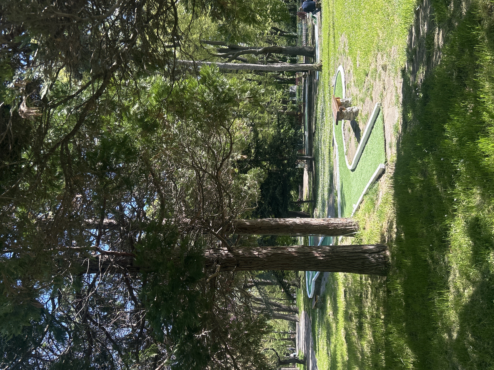 The image depicts a mini-golf course. The course is located in a park-like setting with trees lining the path. A person is bending over in the distance, possibly playing the course. The location is Unknown, Unknown.