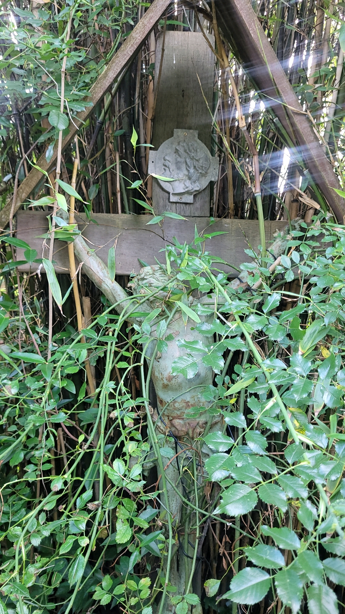 The image depicts an outdoor scene with abundant greenery, primarily bamboo and other vines, obscuring a wooden structure that resembles a cross. At the top of the structure, a circular metal emblem with a relief of a face or figure is affixed to a wooden board. Below this, a weathered, greyish statue of a cherubic figure is partially visible, entwined with the surrounding foliage. The statue appears to be made of a material like stone or concrete, with some signs of rust or age. The environment suggests a secluded or overgrown area, possibly a garden or a forgotten corner of a park. Sunbeams are visible filtering through the bamboo stalks, creating a dappled lighting effect. The image is taken from a low angle, looking upwards towards the cross and statue. It is not possible to determine the exact location within Lunteren, Netherlands from the visual information provided in the image.