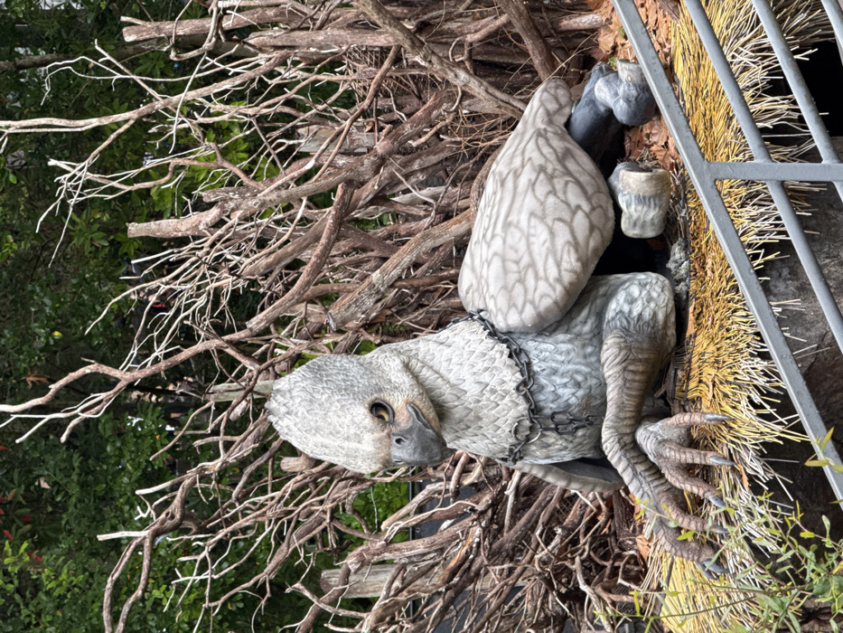 A static, life-sized statue of a grey Hippogriff, identified as Buckbeak, is centrally positioned within a themed outdoor exhibit. The creature, facing slightly downward and to the left, features an avian head with a black beak and prominent yellow-orange eyes, and taloned forelegs. Its body and hind legs are equine. A dark metal chain is draped around its neck. The Hippogriff is depicted sitting on a large, circular nest-like structure made of yellowish-brown thatch. Behind the statue, a dense barrier composed of intertwining bare brown branches rises, with green foliage visible in the distant background. A grey metal railing is present in the lower foreground, extending diagonally across the frame. This scene is located in The Wizarding World of Harry Potter - Hogsmeade, within Universal's Islands of Adventure theme park, Universal Orlando Resort, Orlando, Florida, United States of America.