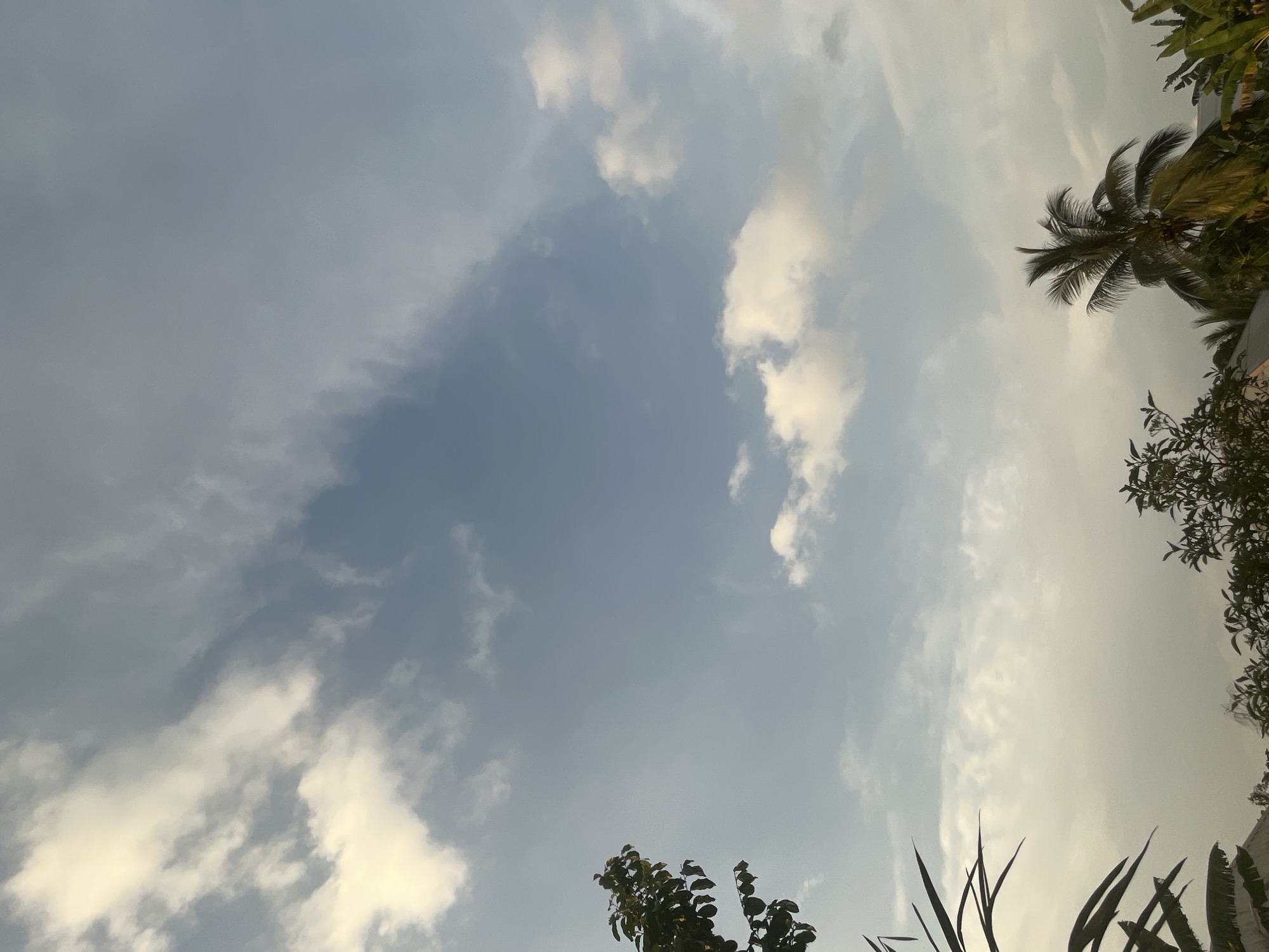 The image shows a daytime view of the sky in Ikot Ekpene, Nigeria. The sky is mostly blue with scattered white clouds. Vegetation, including a palm tree and other trees, is visible along the edges of the frame, suggesting the scene is in a residential or natural area within the city. No people are visible in the image.
