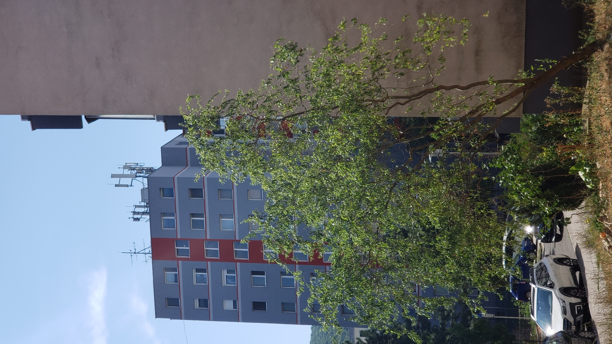 The image depicts a residential building in Bratislava, Slovakia, on a clear, sunny day. The building is predominantly gray with red accents on its facade and is equipped with numerous antennas on its rooftop. In the foreground, a tree with lush green foliage partially obscures the view of the building. Several parked cars are visible on the street in front of the building, including a white SUV and a dark sedan. The scene suggests a typical urban residential environment with a focus on infrastructure and vegetation.