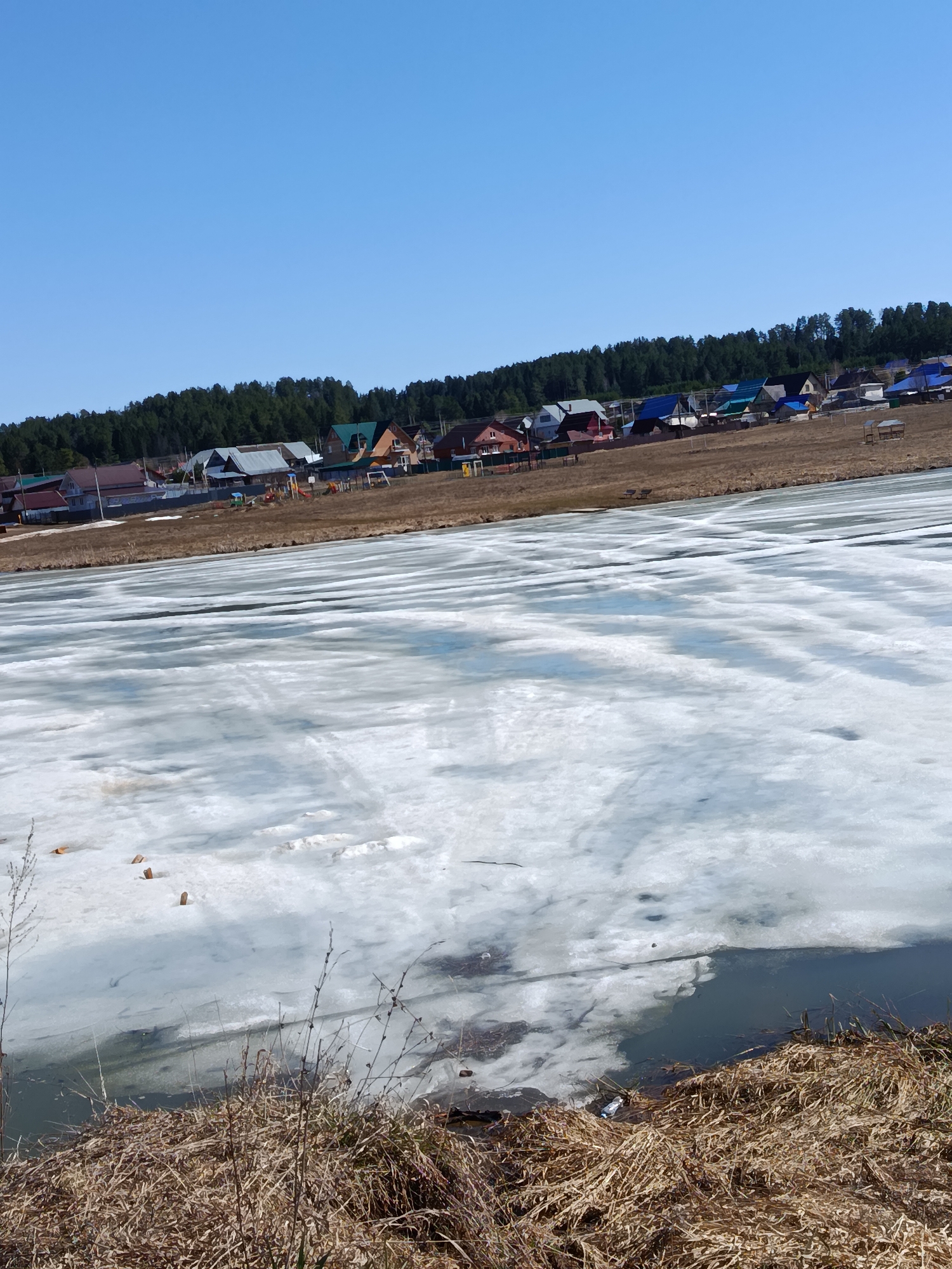 The image shows a partially frozen lake in Фоки, Russia. The foreground is dominated by dry, brown grass along the edge of the water. The lake itself is covered in a layer of melting ice, with areas of open water visible. In the background, there's a line of houses and buildings, indicating a village or settlement. Beyond the buildings is a dense line of trees, likely a forest. The sky is clear and blue. No people are visible in the image.