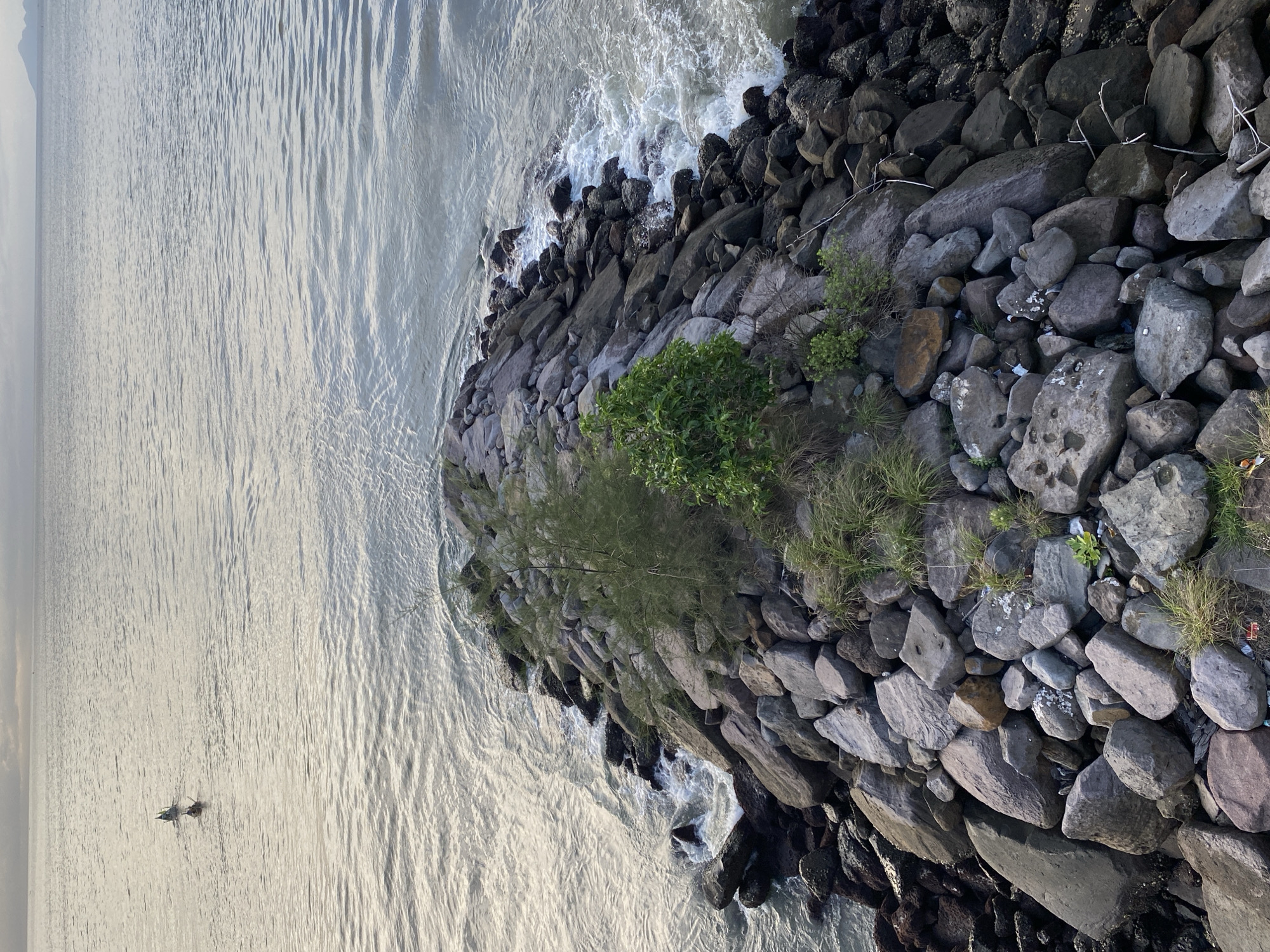 The image shows a rocky breakwater extending into the ocean near Banda Aceh, Indonesia. The water is calm with gentle waves lapping against the rocks. In the distance, two people are kayaking. The sky is overcast, suggesting either early morning or late afternoon. The breakwater is covered with various sizes of grey rocks, with some patches of green vegetation growing between them. The overall scene depicts a serene coastal environment.