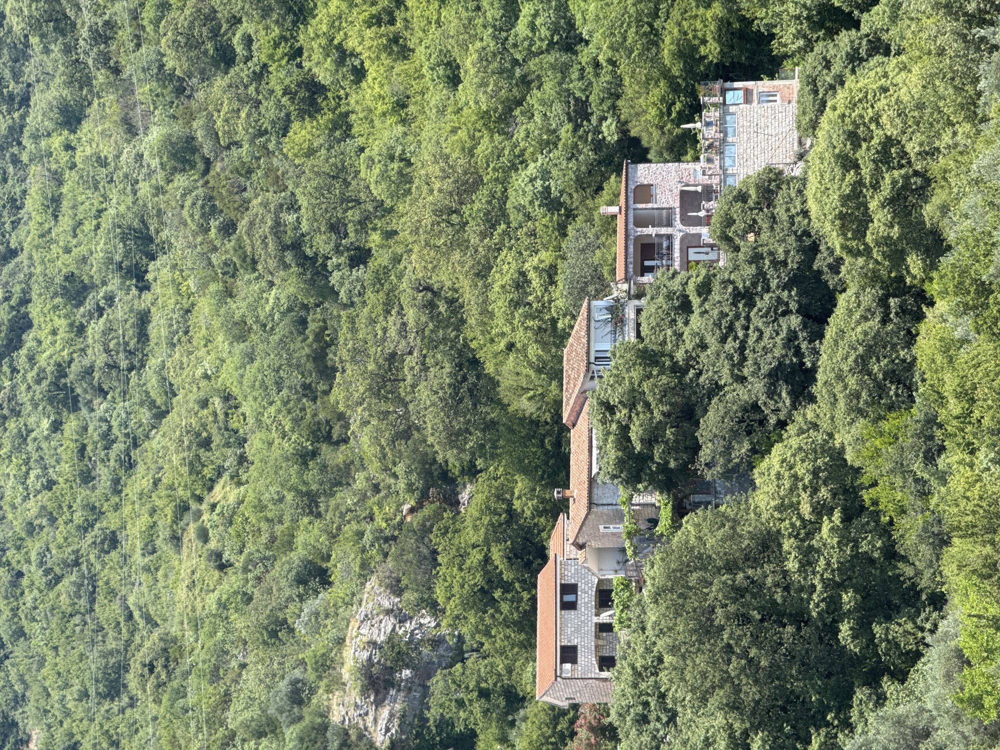 A view of several stone houses with red tile roofs nestled amongst lush green trees and foliage on a hillside in Rafailovići, Montenegro. The houses appear to be a complex of dwellings, with multiple levels and balconies. The natural environment is dominant, with dense vegetation covering the slopes. The sky is not visible in the frame.