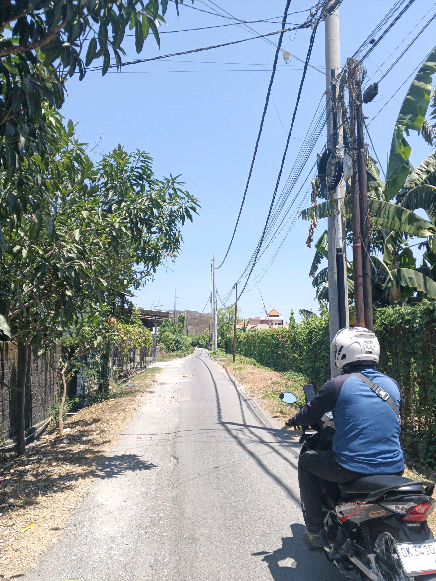 The image depicts a scene on a narrow, paved road in Denpasar, Indonesia, under a clear blue sky. A person wearing a blue long-sleeved shirt and black pants is riding a black motorcycle, identifiable by a license plate with the characters "DK 341G". The rider is wearing a white helmet. The road is flanked by a concrete wall and lush green foliage on the left, and a dense hedge and banana trees on the right. A prominent utility pole with numerous tangled wires stands on the right side of the road. The overall environment suggests a semi-urban or rural setting within the city.