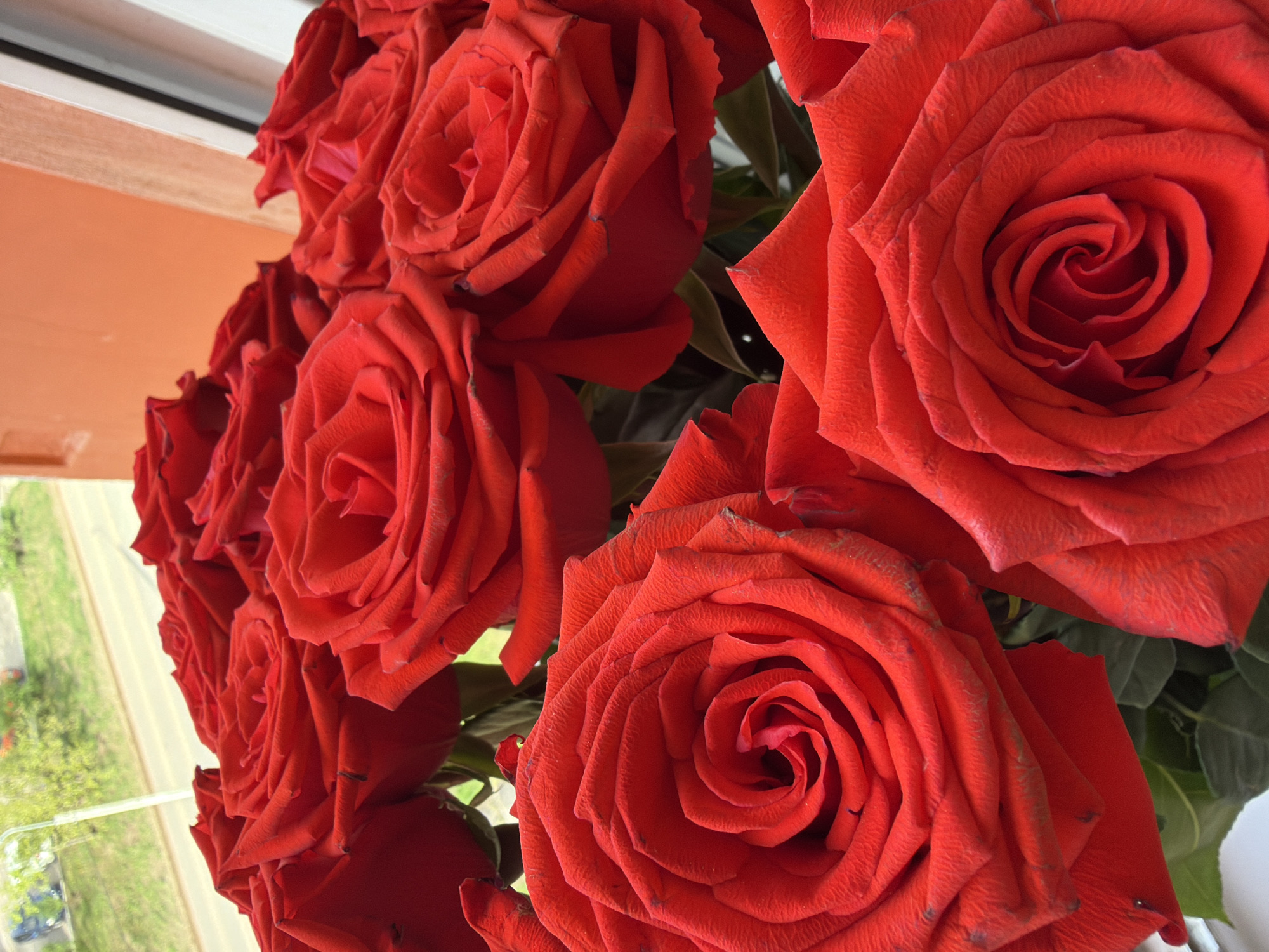 A close-up, high-angle shot depicts a bouquet of approximately ten red roses with green foliage, positioned near a window. The background view through the window shows a street with sidewalks and vegetation, including trees, suggesting an urban environment. The architectural style and setting are consistent with a location in a city such as Chaikovsky, Russia, indicated by the combination of residential buildings, greenery, and infrastructure.