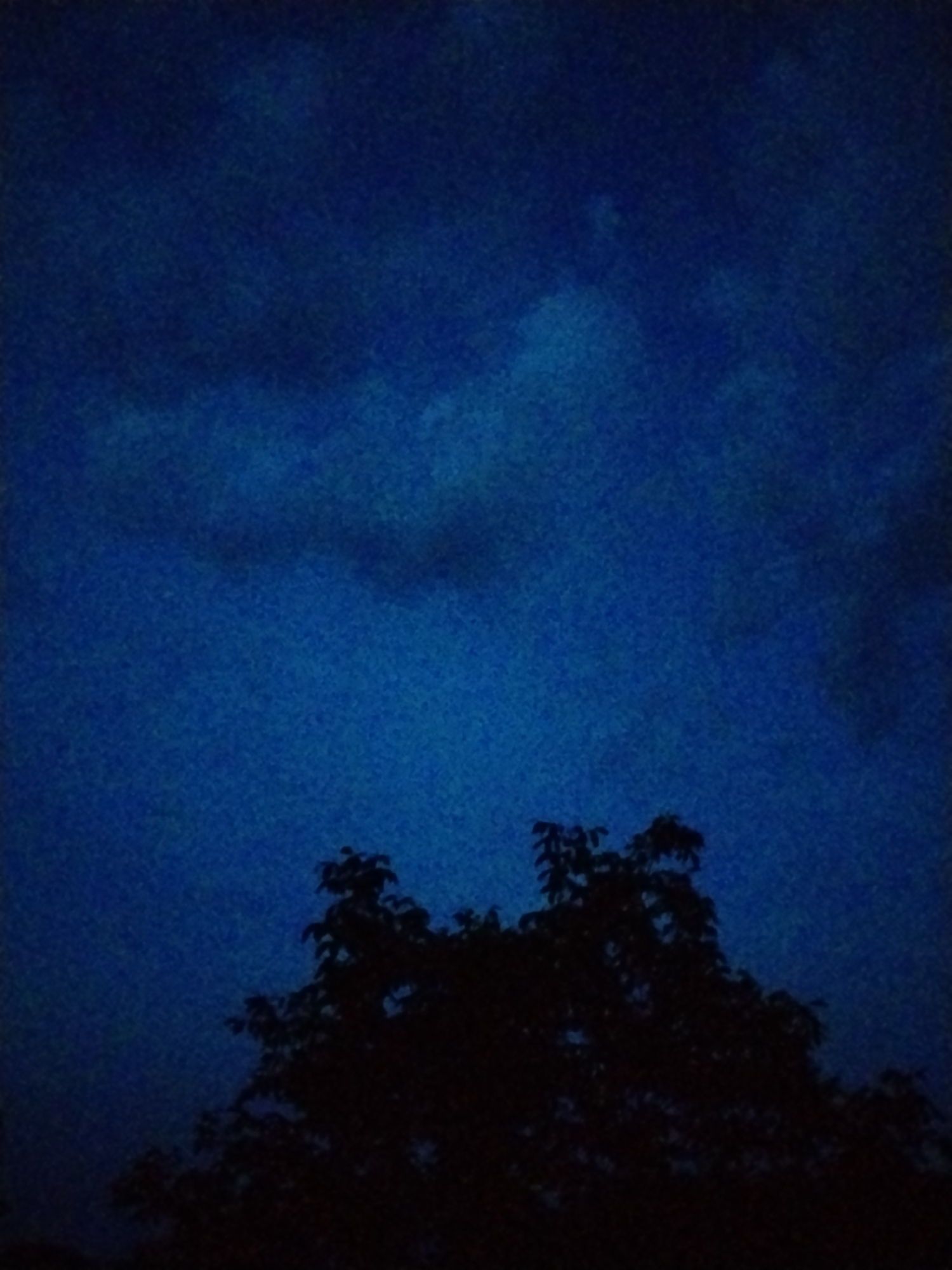 A nighttime outdoor photograph captures a silhouette of tree branches against a deep blue, cloudy sky. The image is dark and grainy, with the clouds appearing as indistinct masses. No people or structures are visible. The scene is likely set in Ustyvytsia, Ukraine.