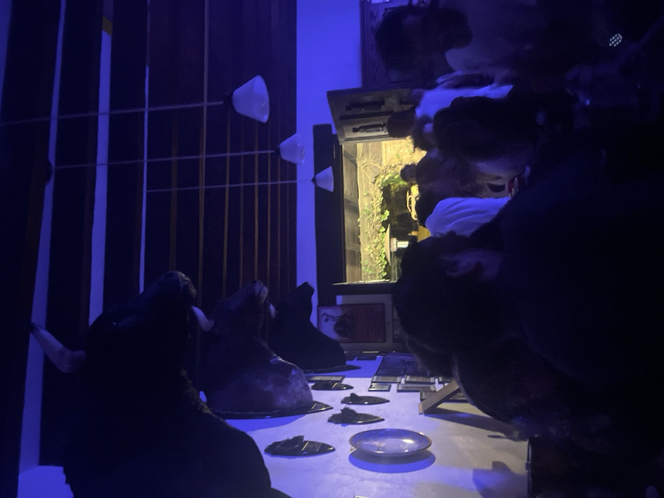 The image depicts an interior scene, likely a bar or restaurant, in Ocoyoacac, Mexico, characterized by dim, predominantly blue artificial lighting. The ceiling features dark wooden beams in a grid pattern, from which multiple white, bell-shaped pendant lamps are suspended.
On the left, a light-colored wall is adorned with at least three taxidermied bull heads, mounted vertically, with horns visible. Below these, various decorative objects are mounted, including circular plates or discs and several dagger-like artifacts. Framed pictures are also visible further down the wall.
The mid-ground and foreground are occupied by a crowd of people. Their faces are mostly obscured by darkness or motion blur. Individuals are standing or moving, with their silhouettes and upper torsos discernible. One person in the immediate foreground, positioned to the right, wears a light-colored shirt. Another person in the mid-foreground, left, is seen from behind.
An open doorway or large archway in the background leads to an outdoor area. This space features dense green foliage overhead, possibly a pergola or trellised vines. Artificial lighting illuminates this outdoor area, including what appears to be a yellow outdoor heater or lamp. A yellow vehicle is partially visible in the distance beyond the foliage, suggesting a street or parking area. The overall ambiance indicates a social gathering or a busy venue.