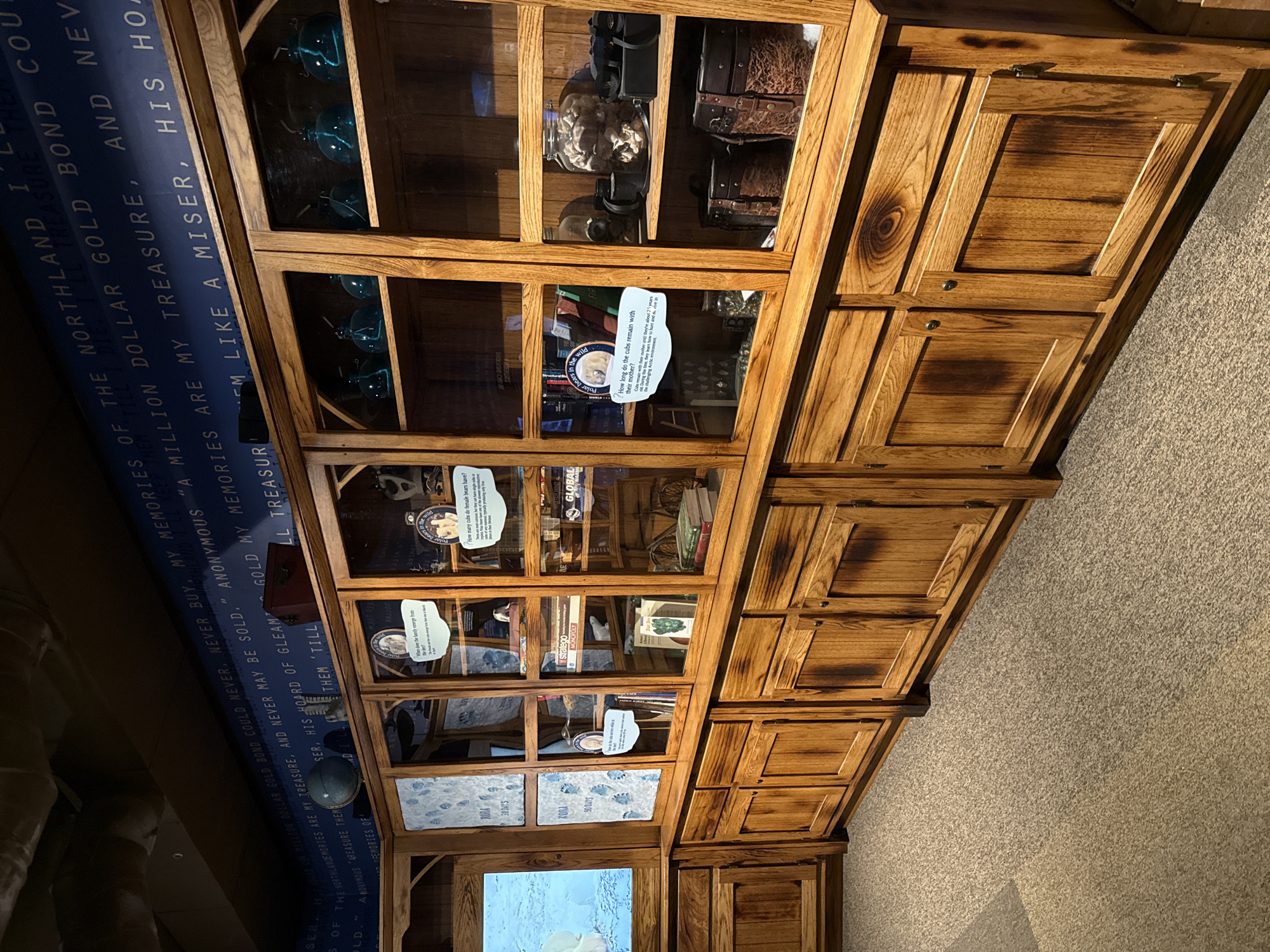 A medium shot depicts a large wooden display case, likely located in a museum or exhibition in Powell, United States of America, given the information plaques and displayed objects. The case is filled with various items, including blue glass orbs, a jar of what appear to be rocks, and several books. Additionally, information plaques about polar bears are visible, suggesting a natural history or wildlife-themed exhibit. The wall to the left has dark blue text on a lighter blue background, and the wall to the right is carpeted, which is likely one of the building’s structural supports.