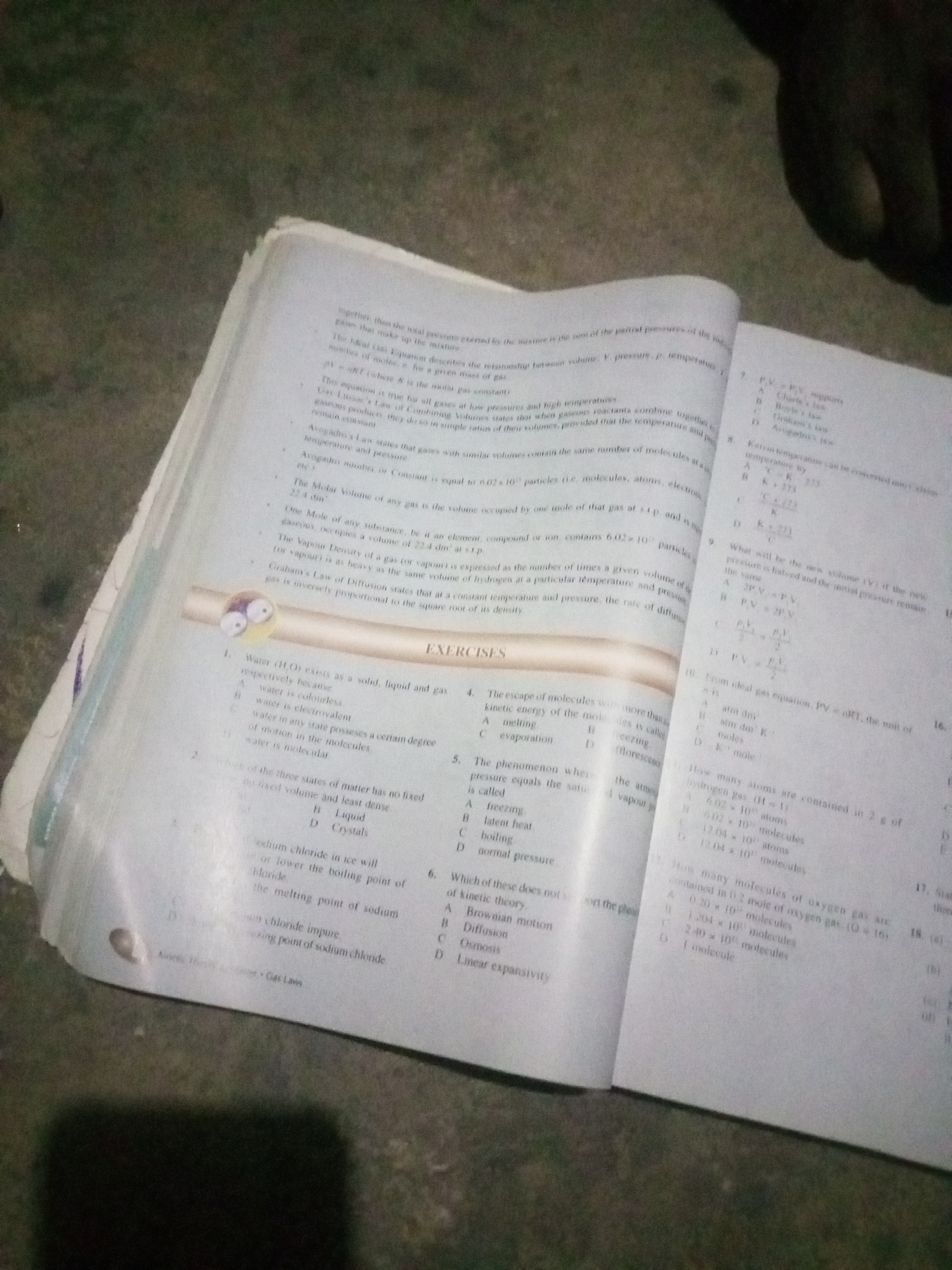 Memory