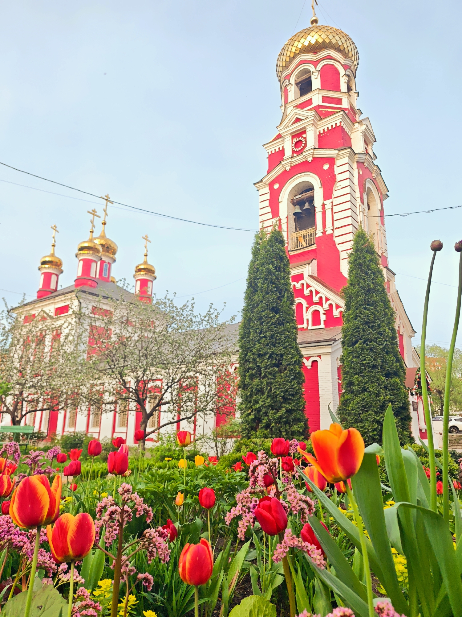 A vibrant garden scene in an urban setting features the Church of the Holy Martyrs Adrian and Natalia of Babushkinsky District in Unknown, Unknown. Red and white architectural elements of the church and its bell tower are prominent in the background, accentuated by golden domes with crosses. Lush greenery and colorful tulips dominate the foreground, adding a lively contrast to the structured building. The sky is light blue and the weather is daytime.