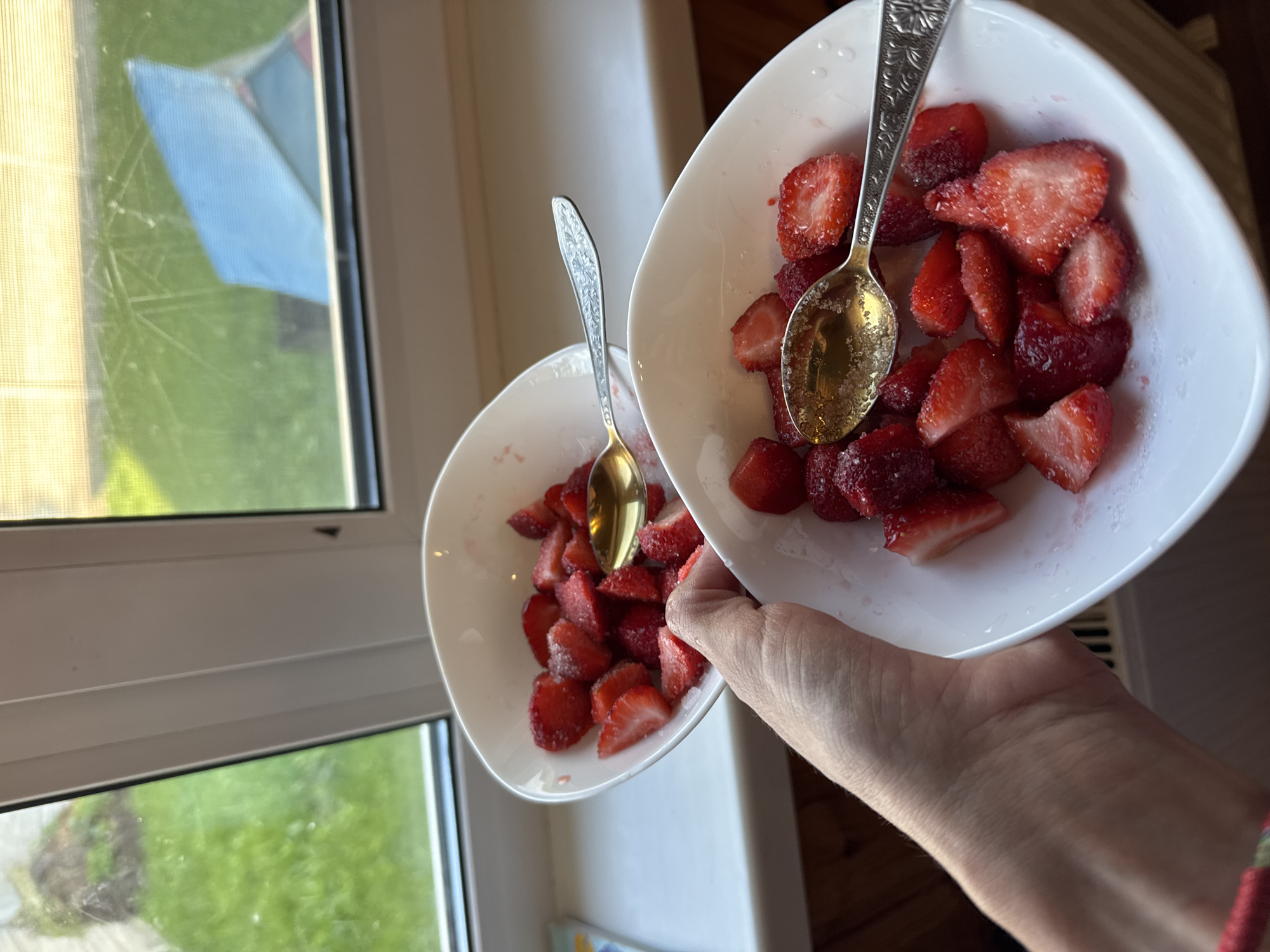 Two white bowls are filled with sliced strawberries and sugar. A hand is holding one of the bowls, tilted to show the contents. A spoon rests in each bowl, one with a golden bowl and patterned handle, the other with a silver bowl and patterned handle. The strawberries appear fresh and are glistening with sugar. In the background, a window looks out onto a grassy area and a blue object. The scene is brightly lit, suggesting daylight.
