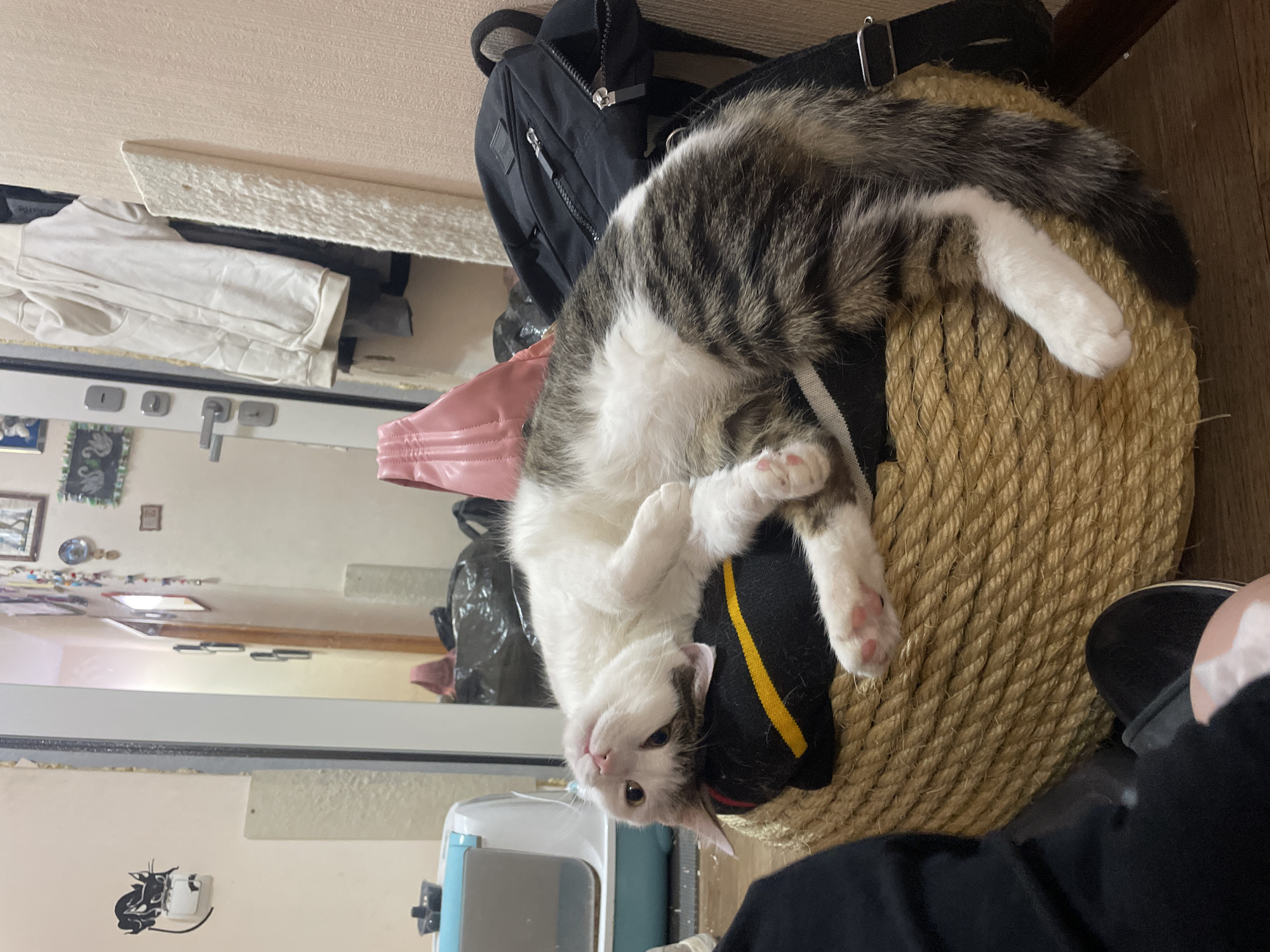 A cat is lying on top of a scratching post with a black backpack on it. The cat is mostly white with grey tabby markings. The scratching post is made of wound rope. Part of a person's leg is visible in the lower right corner. In the background is a partially visible mirror with reflections of a pet carrier, wall decorations, and clothing. The location is likely indoors, based on the indoor environment. There is no indication the image was taken in Usol'e, Russia.