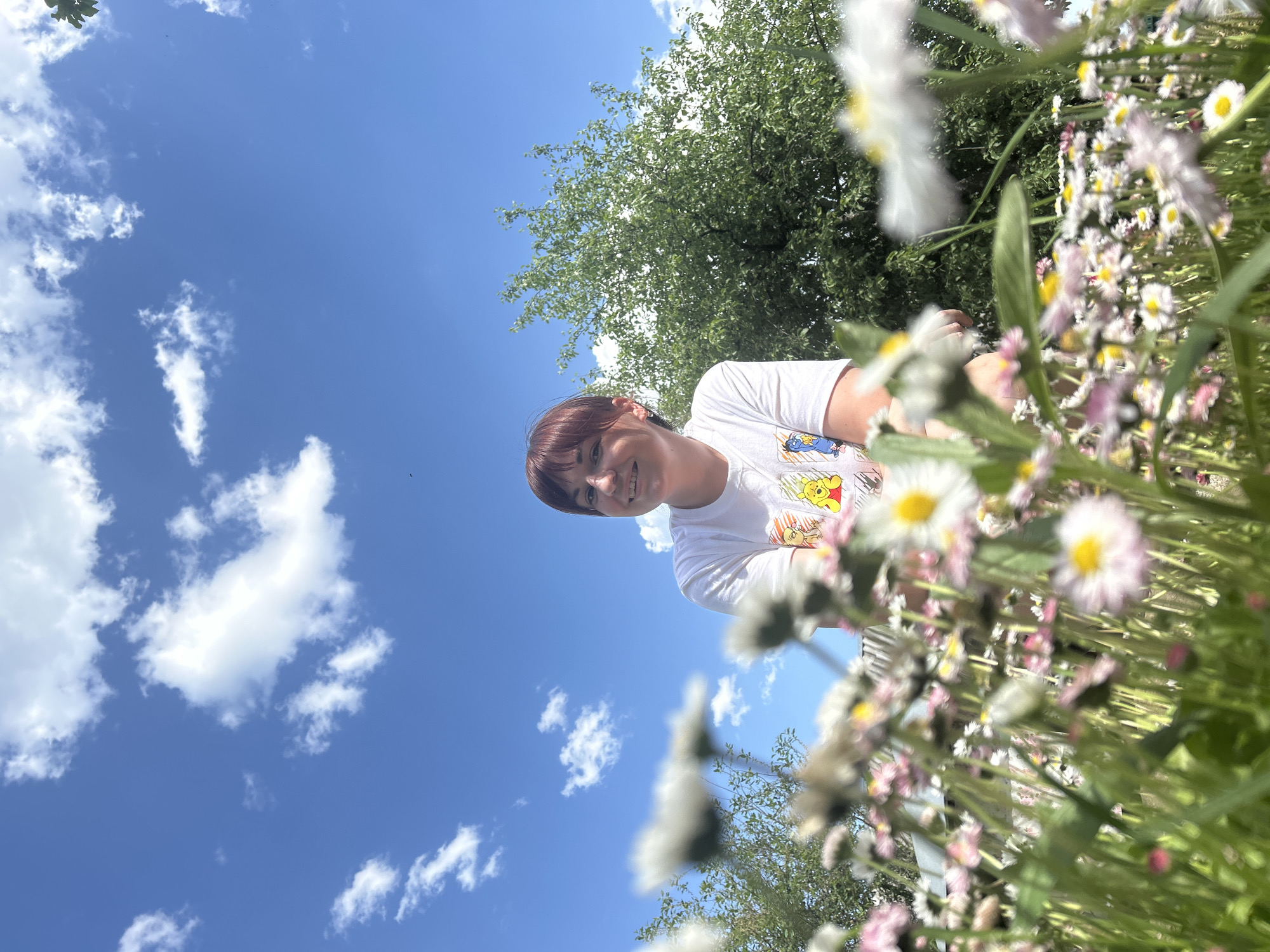 A woman is standing amongst a field of daisies under a clear blue sky with scattered clouds. Behind her is a tree with dense green foliage. The daisies, predominantly white and pink, are in full bloom and take up a significant portion of the foreground. The woman is wearing a white t-shirt with cartoon characters. The location is Фоки, Russia.