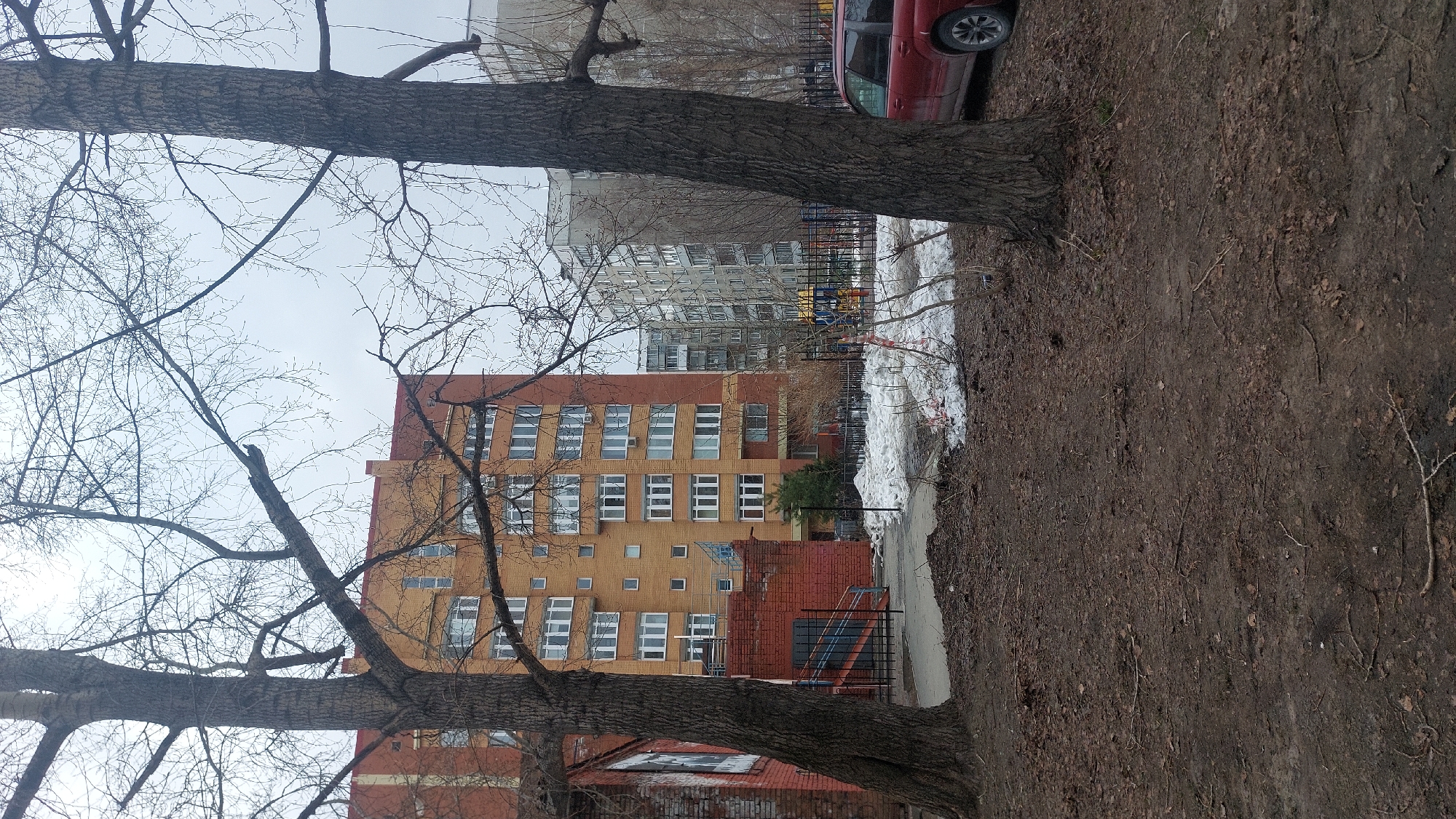 The image depicts an urban scene in Novosibirsk, Russia. In the foreground, two large, leafless trees frame the view. The ground is covered in dirt and fallen leaves. Behind the trees, a multi-story brick building with numerous windows is visible. Beyond the brick building, a taller, gray apartment complex is present. A red car is parked partially in the frame. There is also snow near a fence. The sky is overcast and gray.