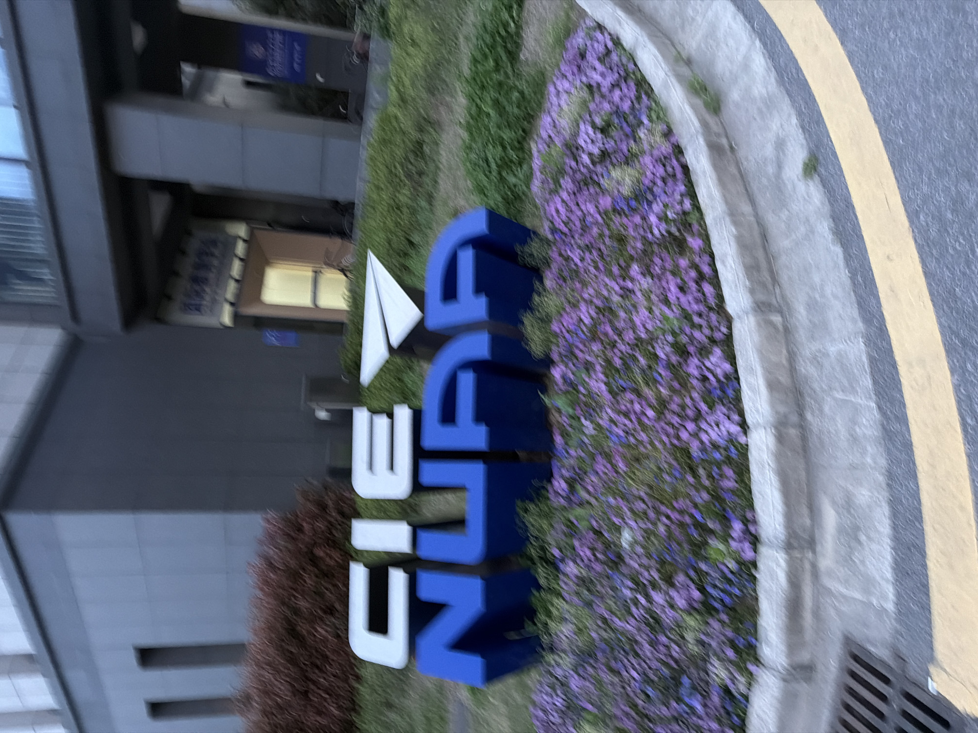 The image shows an outdoor scene in Jiangning District, China. A large, three-dimensional sign reading "CIEA NJU" (China International Education Academy, Nanjing University) is displayed in a garden bed filled with green foliage and clusters of small purple flowers. The sign's letters are primarily blue, with the “A” in CIEA rendered in white. A building with a modern architectural design is visible in the background, and a roadway with a yellow lane marker is located on the right side of the frame. A small brown shrub is located to the left of the sign. The scene is shot at an angle.