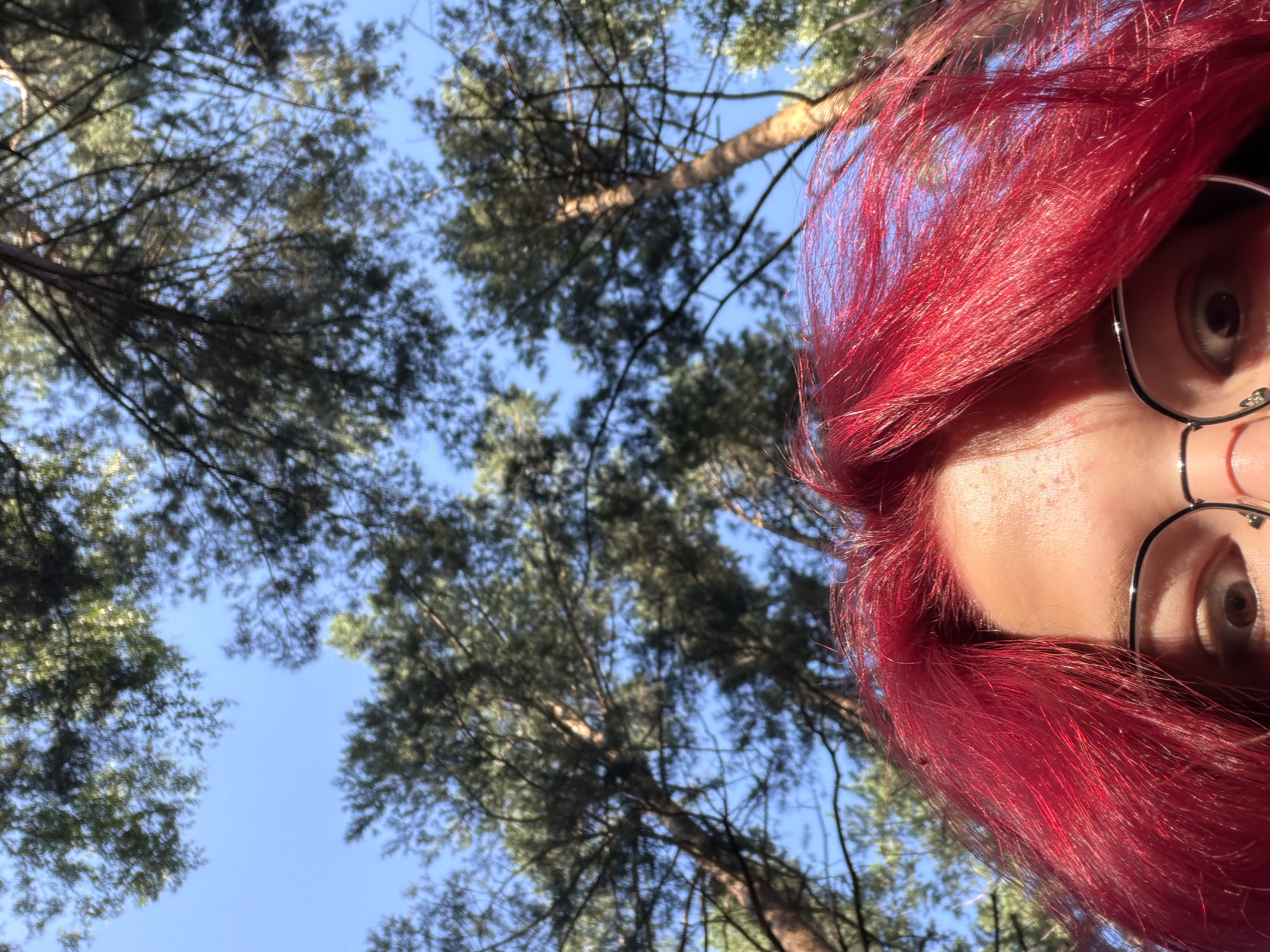 The image is a low-angle, close-up shot focused on the top of a person's head and face, with the background showing a bright blue sky and the tops of tall pine trees. The person has bright, vibrant red hair and is wearing eyeglasses with thin, metallic frames. Only one eye, the left one, is fully visible. The skin shows some light freckling or blemishes. The scene appears to be outdoors, likely in a forested or park area with mature pine trees. The angle suggests the photo was taken looking upwards. There is no information available about the specific location in Chelyabinsk, Russia.