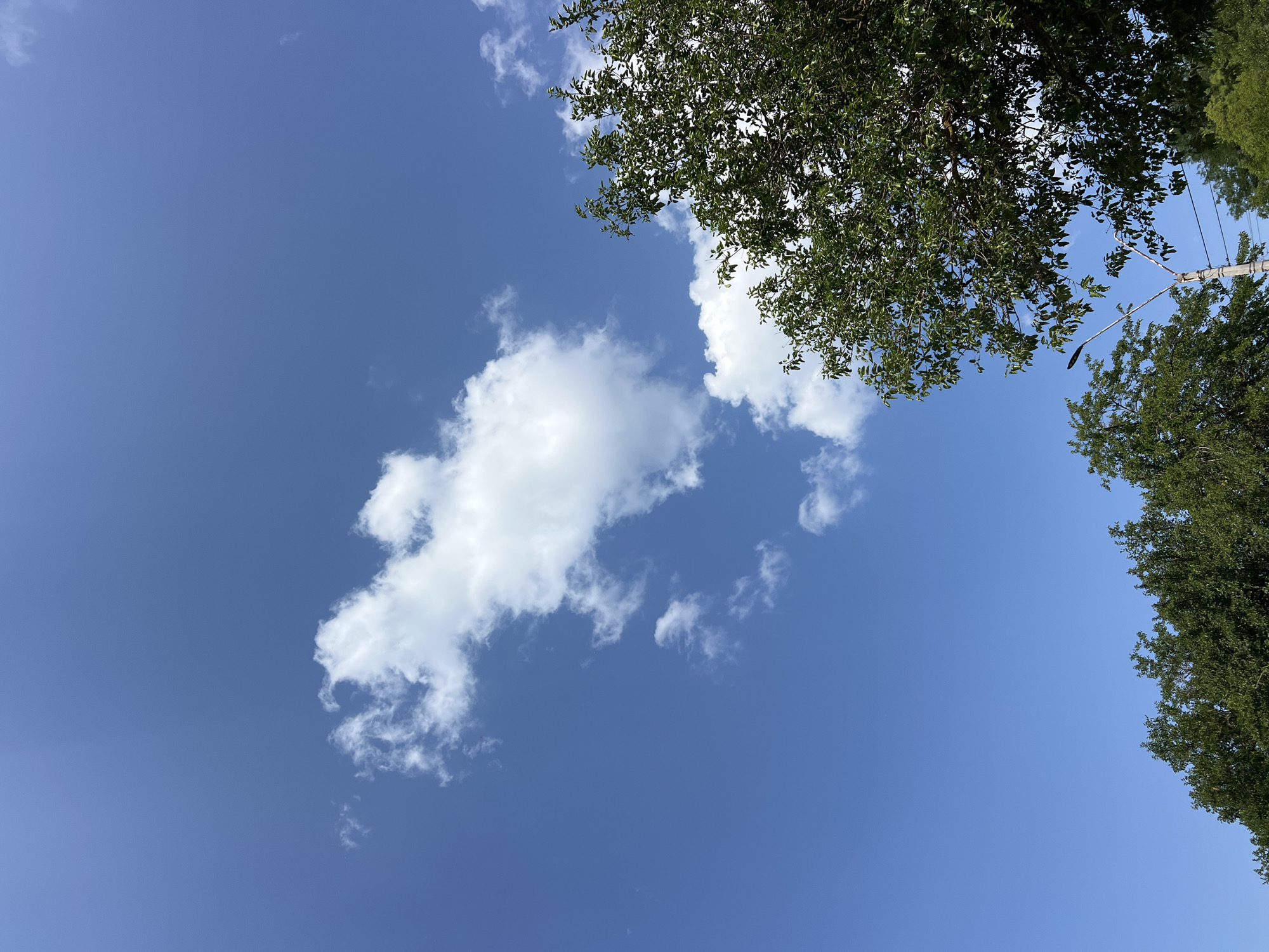 A clear blue sky is visible above a line of lush green trees. A few scattered white clouds drift across the sky. In the foreground, a lamppost stands tall amongst the trees. The image appears to have been taken in Fontanka, Ukraine, given the context.