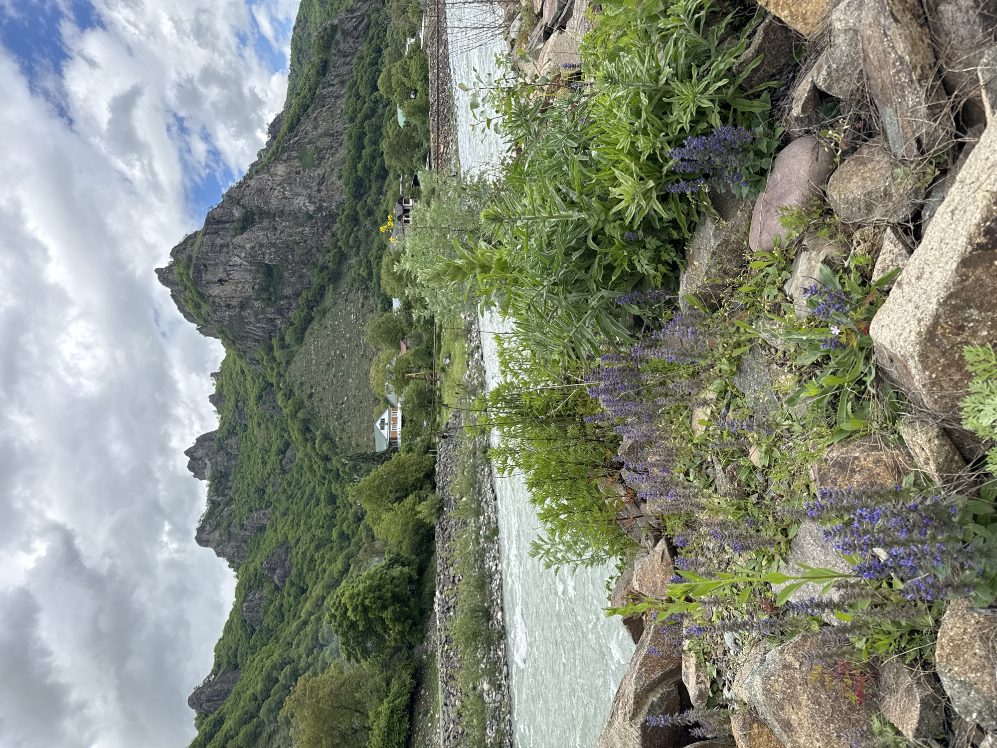 The image depicts a mountain landscape near Karachayevsk, Russia. A fast-flowing, grey-colored river dominates the midground, bordered by rocky terrain and vegetation including green plants and purple flowers. On the far side of the river, there are buildings among the trees and an embankment or retaining wall made of rocks. The left side of the image features a steep mountain partially covered with greenery, reaching towards a cloudy sky.