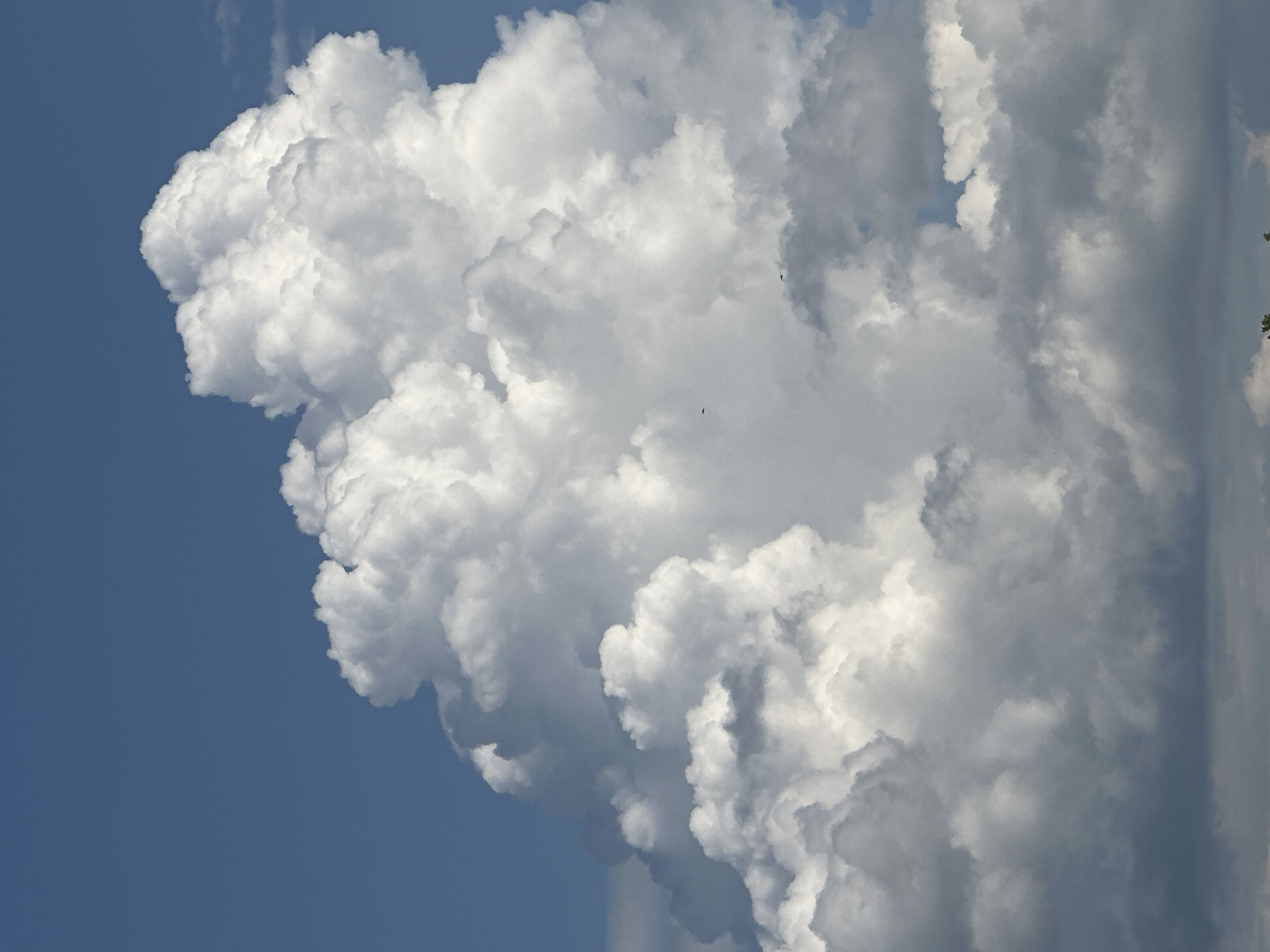 The image depicts a large, billowing cumulus cloud formation against a blue sky. The clouds are predominantly white, with varying shades of gray indicating depth and shadow. Two small, dark specks, possibly birds, are visible within the cloud formation. The image is oriented vertically. There is no indication of the location being Nizhny Novgorod, Russia, or any people, subjects, objects, actions, or interactions.