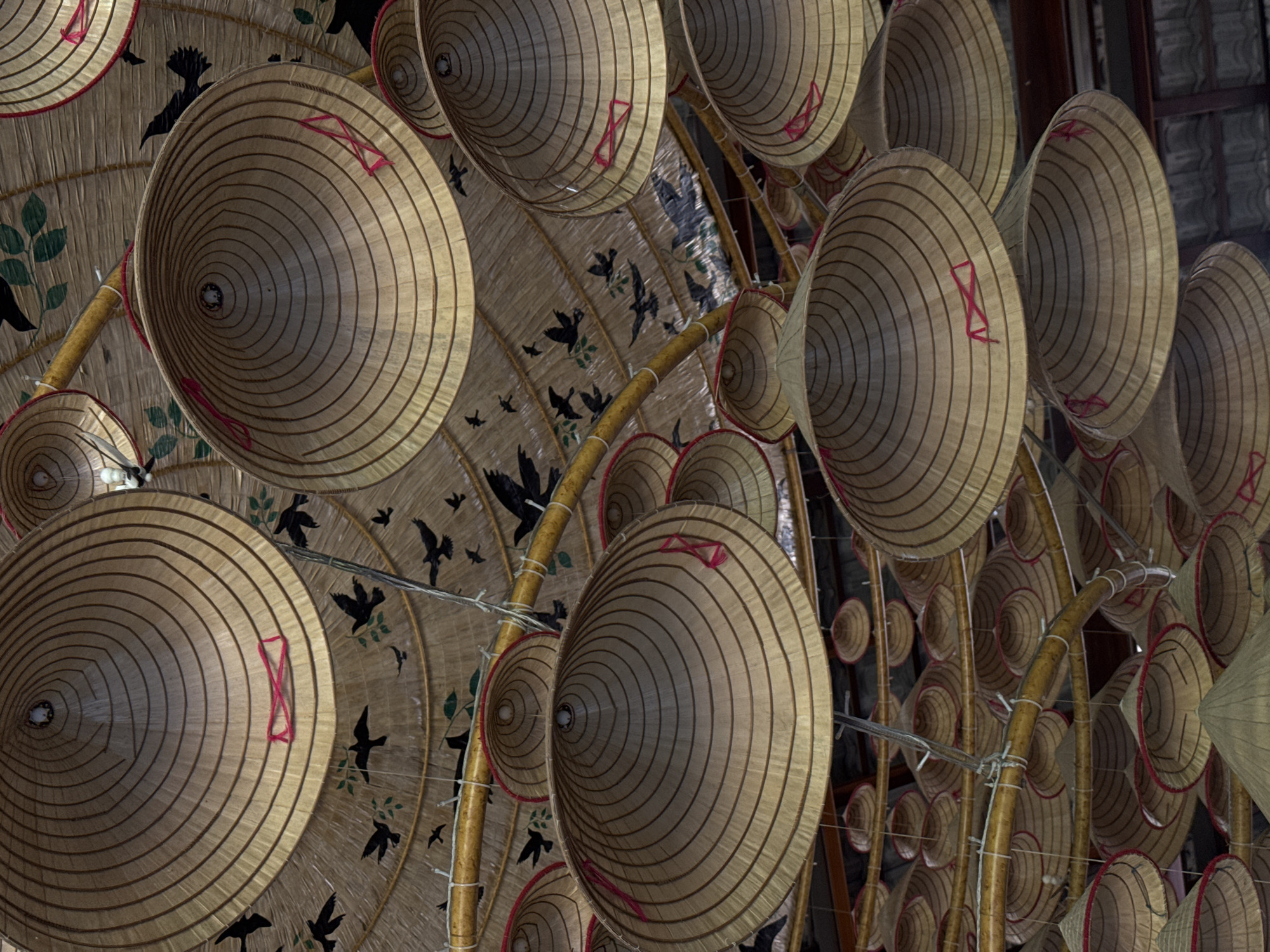 The image shows a ceiling covered with many conical straw hats, known as "nón lá," in Nha Trang Ward, Vietnam. The hats are suspended from bamboo poles and appear to be a decorative element in a market or covered outdoor space. Some hats have red ribbons tied around them, and the underside of the canopy is decorated with painted black birds and green leaves. The hats are of various sizes and are arranged in layers, creating a dense and visually interesting pattern. The lighting suggests it is daytime, possibly indoors or under a covered area, with natural light filtering through. There are no people visible in the image.