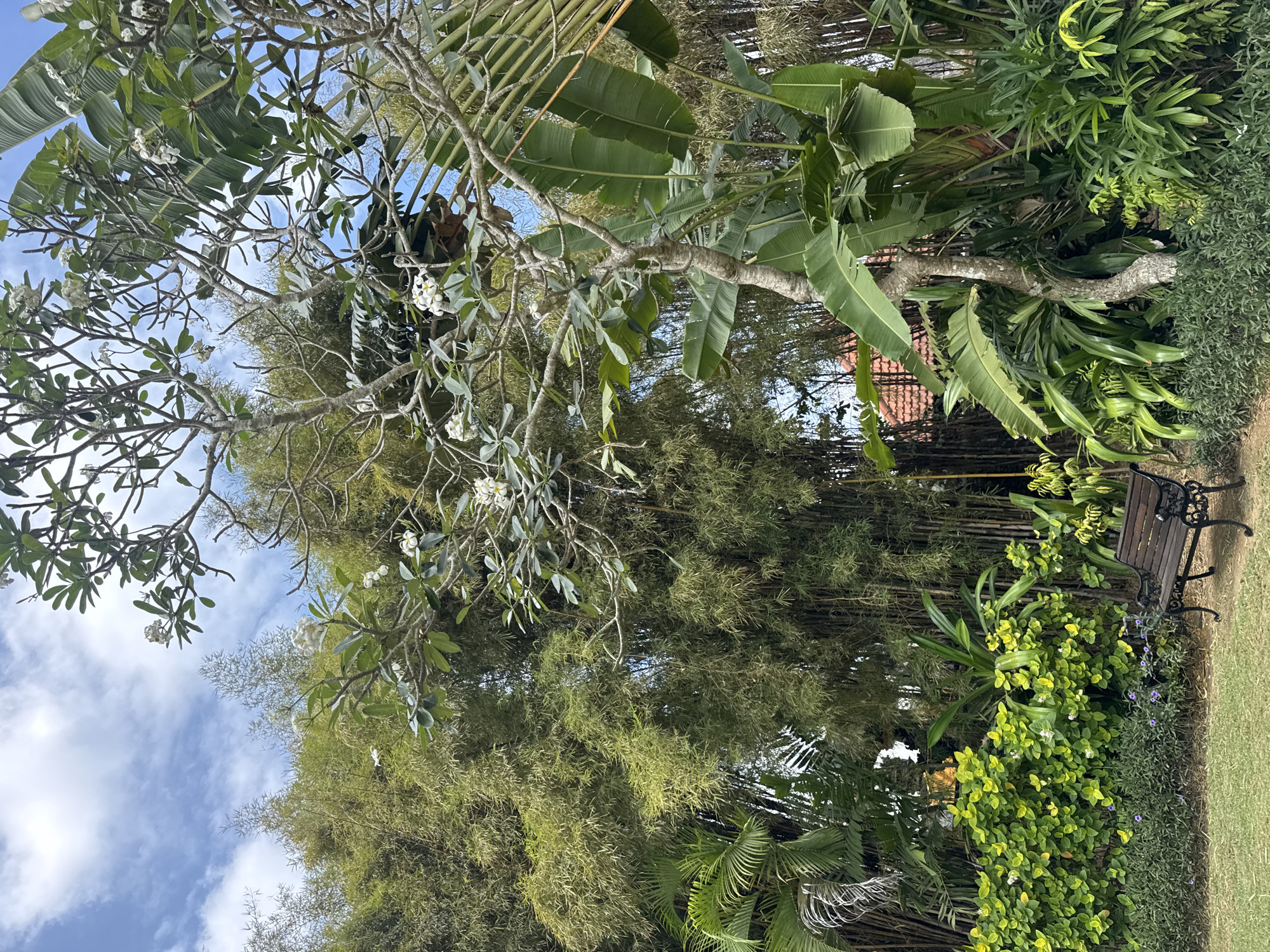 The image shows a lush, tropical garden with a variety of plants, including bamboo, banana trees, and flowering bushes. The sky is blue with scattered white clouds. In the foreground, there is a wooden bench on a grassy area. The scene is likely located in Kuta Selatan, Indonesia, given the tropical vegetation. There are no people visible in the image.