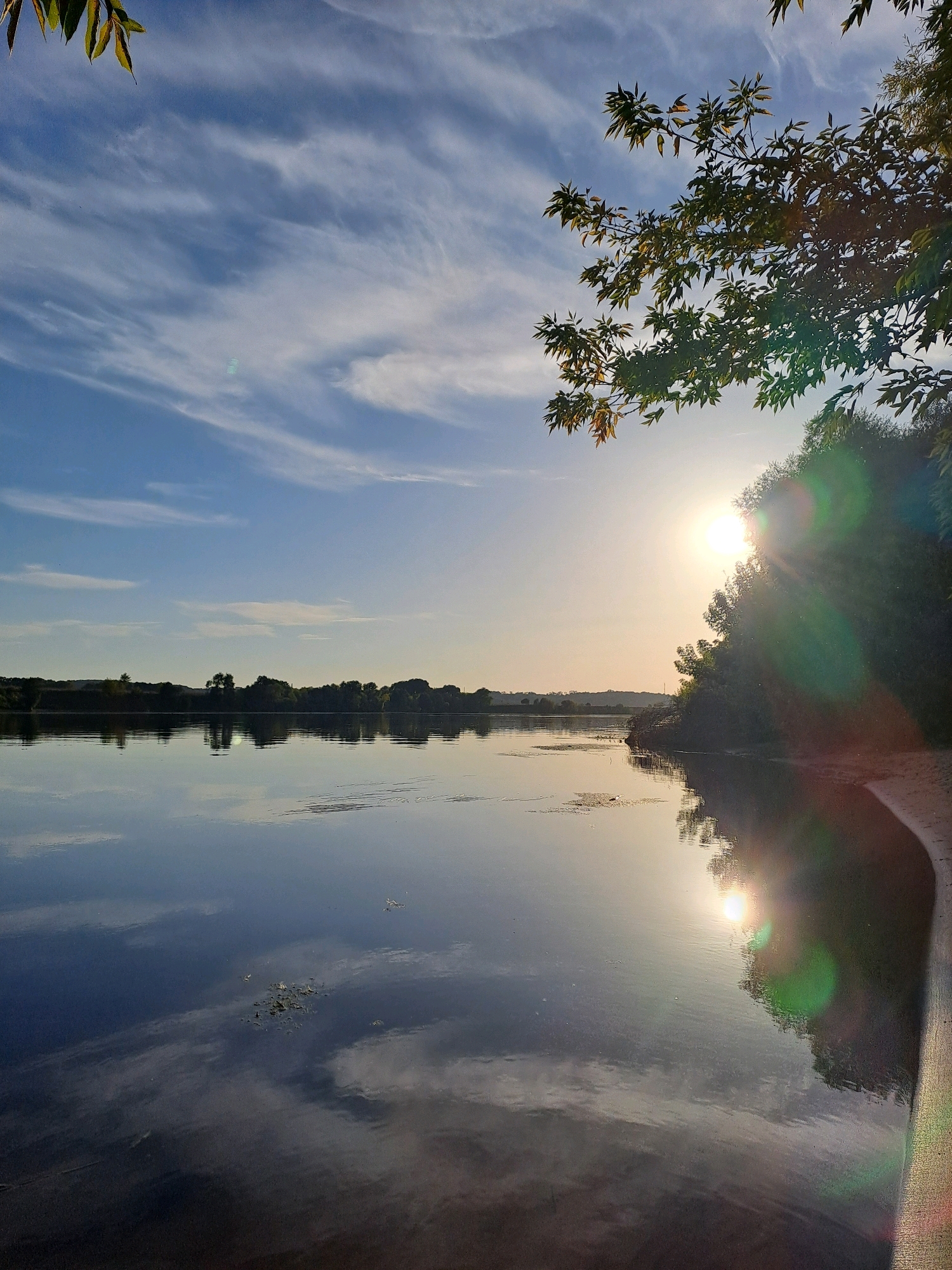 This is a vertical, eye-level shot of a tranquil lake at sunset, viewed from a sandy bank. The sky is a pale blue, streaked with wispy white clouds that reflect on the glassy surface of the water. The sun, a bright orb, is partially obscured by dense green foliage on the right side of the frame, casting a warm glow and creating lens flares of green and yellow. The trees lining the opposite bank of the lake are silhouetted against the horizon, creating a dark, undulating line. A few scattered patches of aquatic vegetation are visible on the water's surface. The scene evokes a peaceful, natural setting. The image is located in Beloomut, Russia.