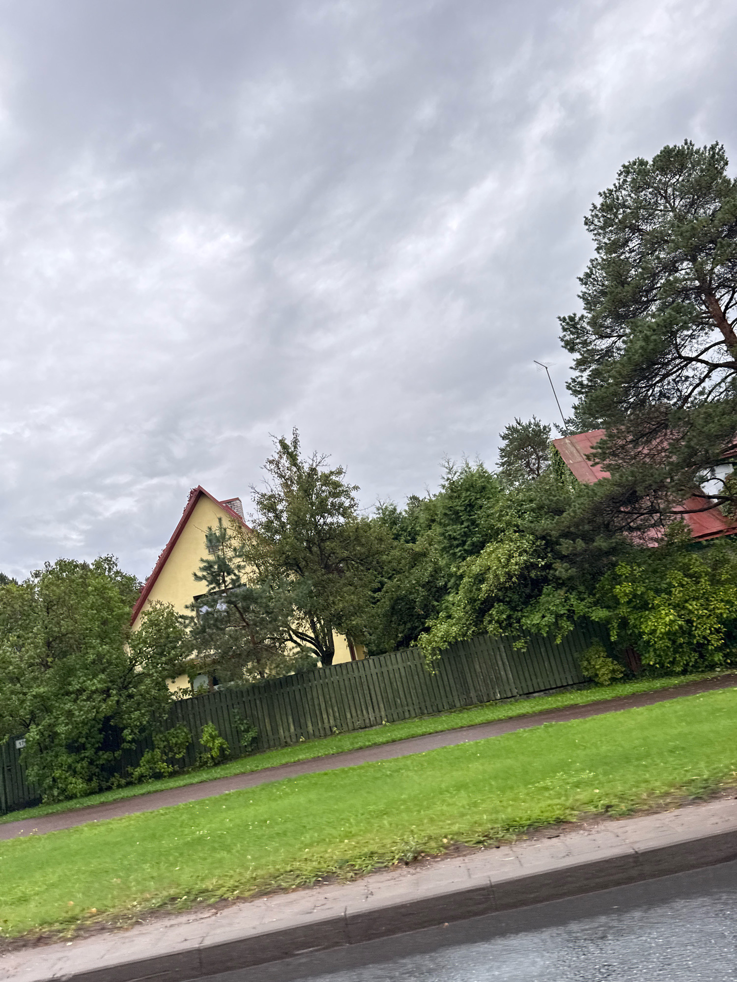 The image shows a view of a residential area in Tallinn, Estonia, on a cloudy day. In the foreground, there is a paved surface, likely a road or sidewalk, with a grey concrete curb. Adjacent to this is a vibrant green lawn, which slopes upwards. A wooden fence, painted dark green, runs along the edge of the lawn and separates it from the properties behind.
Behind the fence, several houses are visible, partially obscured by dense foliage. One prominent house is painted a bright yellow with a red roof. Another house, to the right, also has a red roof. Tall evergreen trees, likely pine trees, are scattered throughout the scene, some reaching high above the houses. The sky is overcast with grey, textured clouds. A thin antenna is visible above the trees in the upper right portion of the image. The overall scene depicts a suburban or semi-rural setting within Tallinn.