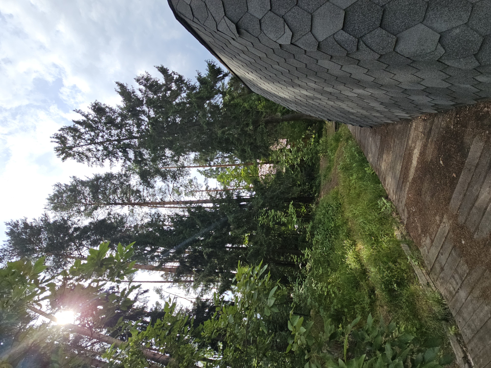 The image shows a pathway leading into a wooded area. The pathway is made of wooden planks and is lined with green vegetation on the left. On the right side of the image, a domed structure covered in grey hexagonal shingles is visible, taking up a significant portion of the frame. Tall trees, some with pine needles and others with broad leaves, dominate the background, with the sun's rays filtering through the leaves, creating a lens flare effect. The sky above is partly cloudy with a bright, overcast appearance. In the distance, faint structures or buildings can be discerned through the trees. This scene is located in the city of Ulitkino, Russia.