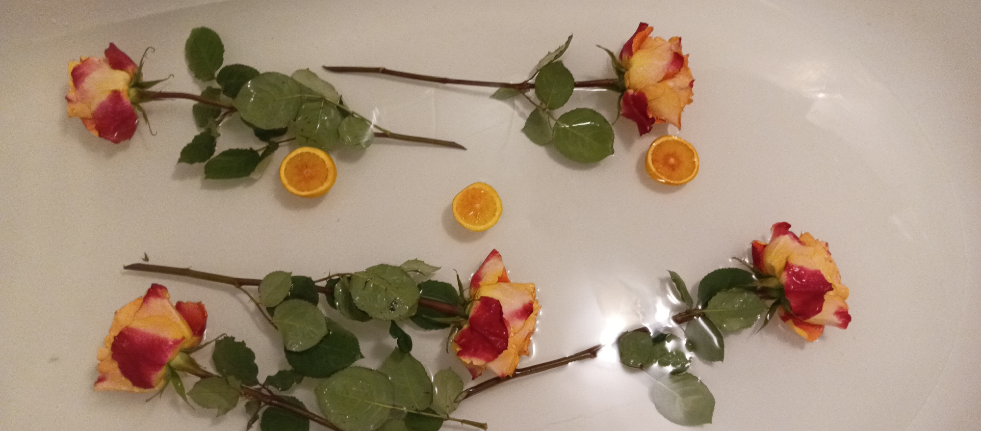 Four multi-colored roses and four orange halves are floating in clear water, likely within a white bathtub or similar container. The roses exhibit petals with shades of yellow, orange, and red/pink, and each has a green stem with leaves, some of which are partially submerged. Small water droplets are visible on the rose petals and leaves. The orange halves are cut cleanly and show their bright orange pulp and rind.
The items are arranged in a horizontal pattern, with two roses and two orange halves in the upper portion of the frame, and two roses and two orange halves in the lower portion. The water's surface reflects light, creating soft glares and subtle ripples. The background is a uniform white, characteristic of a tub, suggesting an indoor setting. The scene evokes a sense of relaxation or aesthetic display, perhaps for a bath or a decorative purpose. There is no visible text.