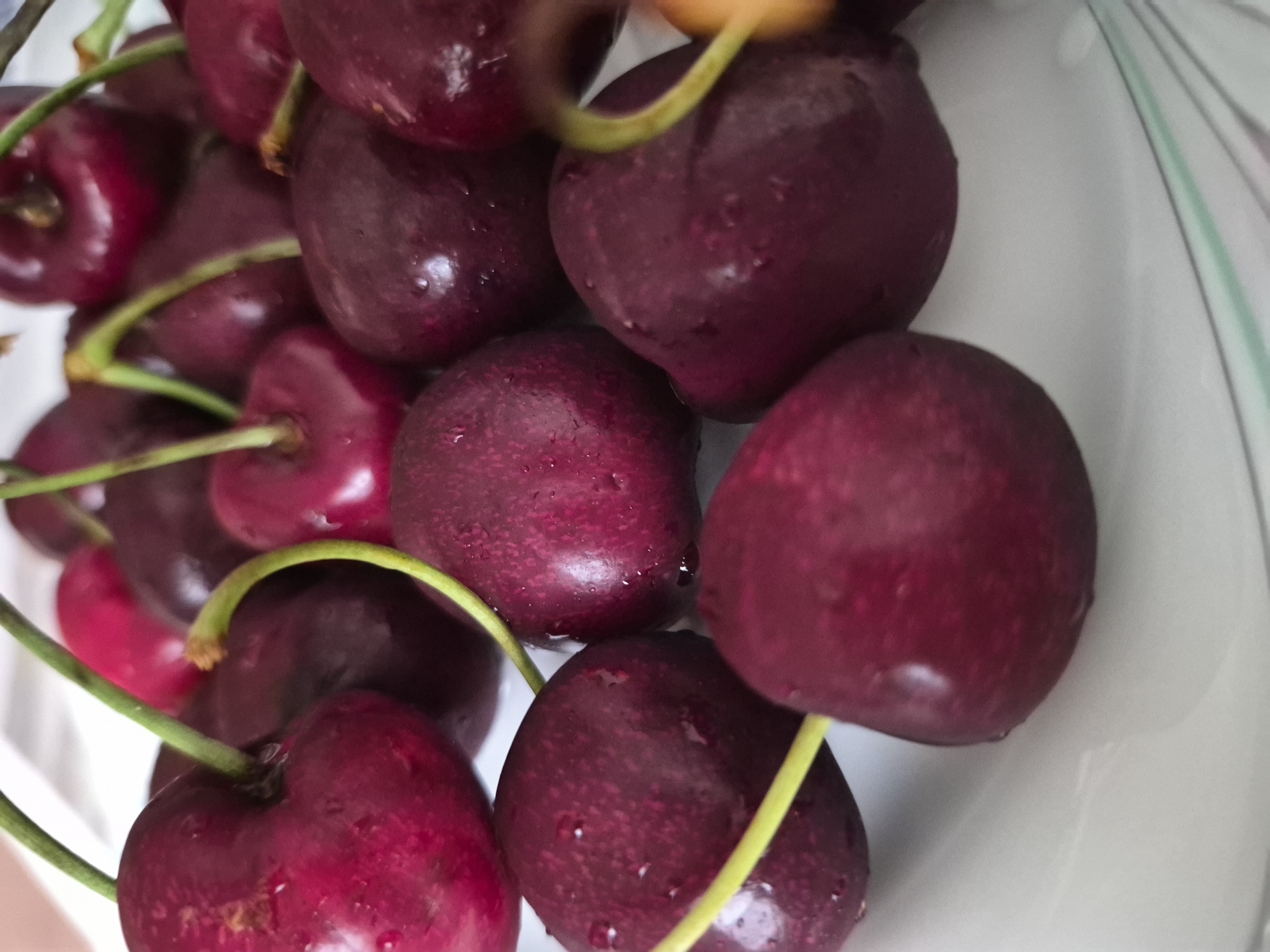 A close-up, overhead shot displays a pile of dark red cherries on a white plate. The cherries are wet, with visible water droplets on their surfaces. The plate has subtle, wavy green and white stripes along the rim. The lighting is soft, creating gentle reflections on the cherries. The background is a blurred white.