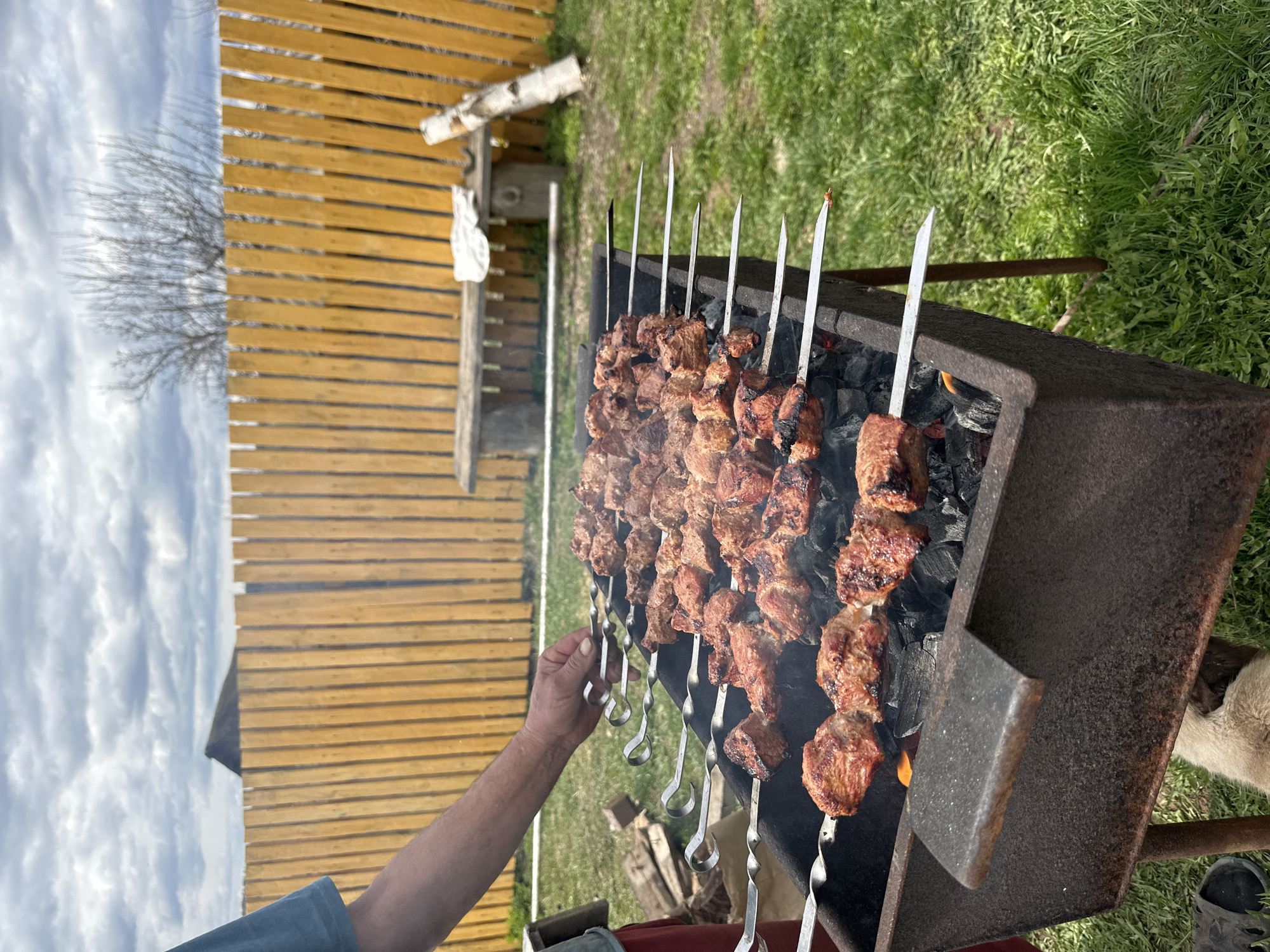 A man is cooking meat on skewers over a charcoal grill in Альняш, Russia. The meat is arranged on several skewers above the burning charcoal. The grill is a simple, rectangular metal structure. The background includes a wooden fence, green grass, and a cloudy sky. A dog is visible to the bottom right of the grill. The man is holding one of the skewers.