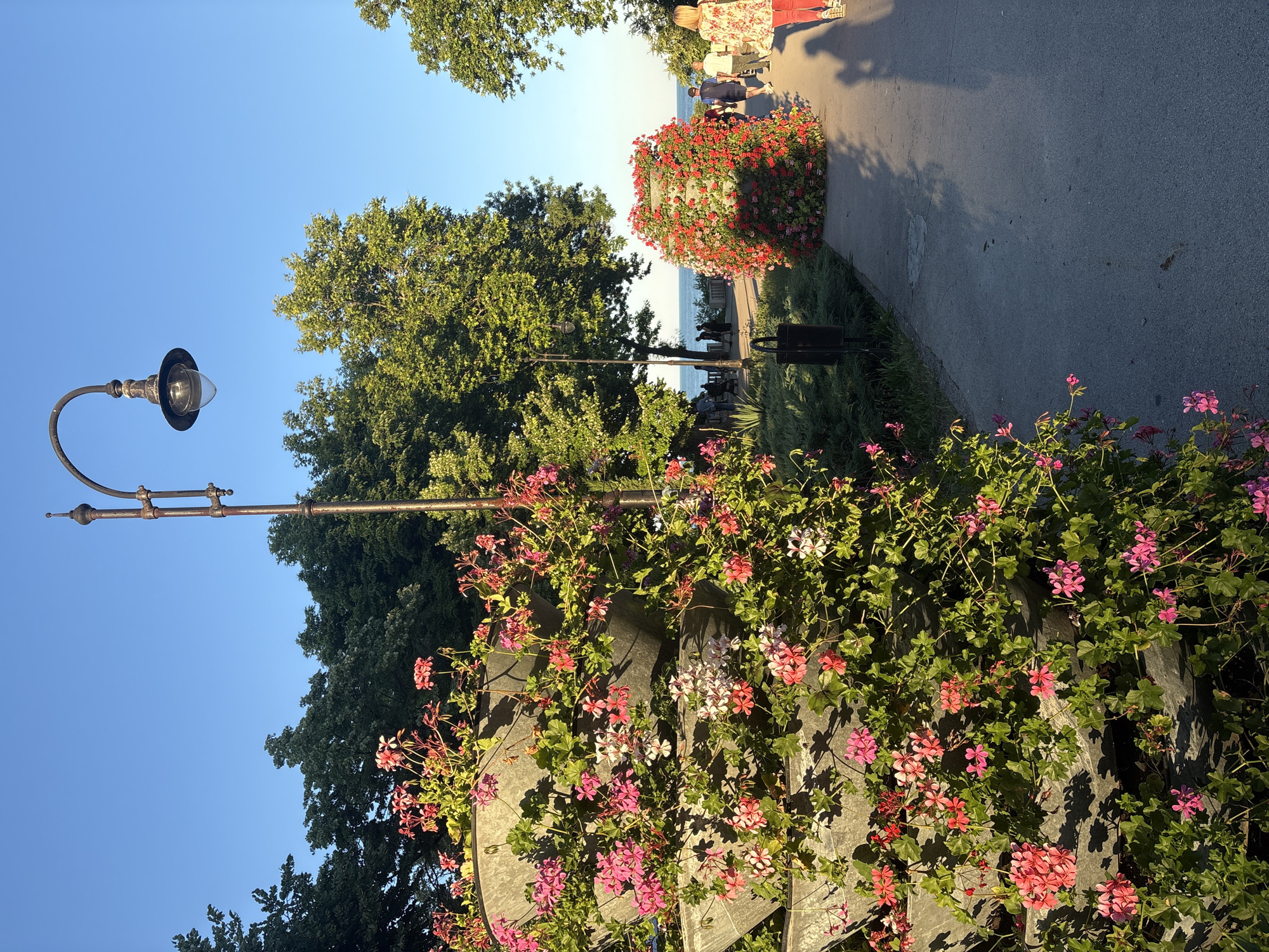 A sunny, clear day unfolds in an outdoor public space, likely a park or promenade, with a paved walkway leading towards a body of water visible in the distance. Lush green trees line the pathway, casting shadows on the ground. A vintage street lamp stands tall on the left side of the walkway, its dark metal structure contrasting with the bright blue sky.
In the foreground, a tiered planter filled with vibrant pink and white flowers overflows with greenery. To the right of the walkway, another large planter is densely covered in bright red and pink flowers, creating a striking visual. Several people are strolling along the path, their figures and shadows elongated by the low angle of the sun. A few individuals are seated or standing near the water's edge in the background. The overall atmosphere is one of pleasant outdoor leisure.