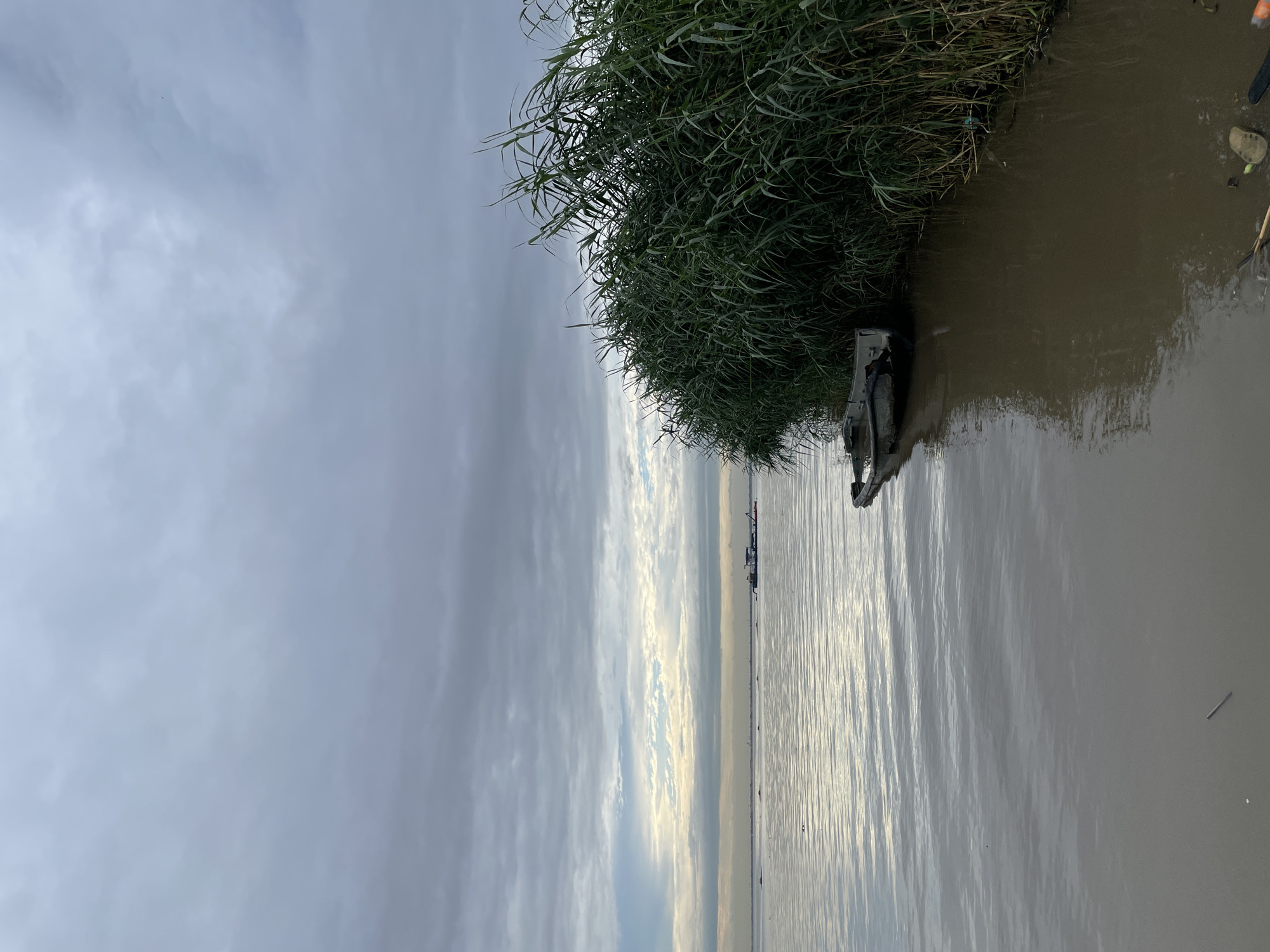 A weathered, partially submerged boat rests at the edge of a body of water, partially obscured by tall, green reeds. The water reflects the overcast sky, which is filled with textured gray clouds, with a break in the clouds near the horizon allowing a sliver of lighter sky to peek through. In the distance, a barge or ship is visible on the water. The shoreline is muddy and shows signs of debris. This scene is likely located on the Lagos Lagoon in Ikorodu, Nigeria, a common area for water traffic and marshy shorelines.