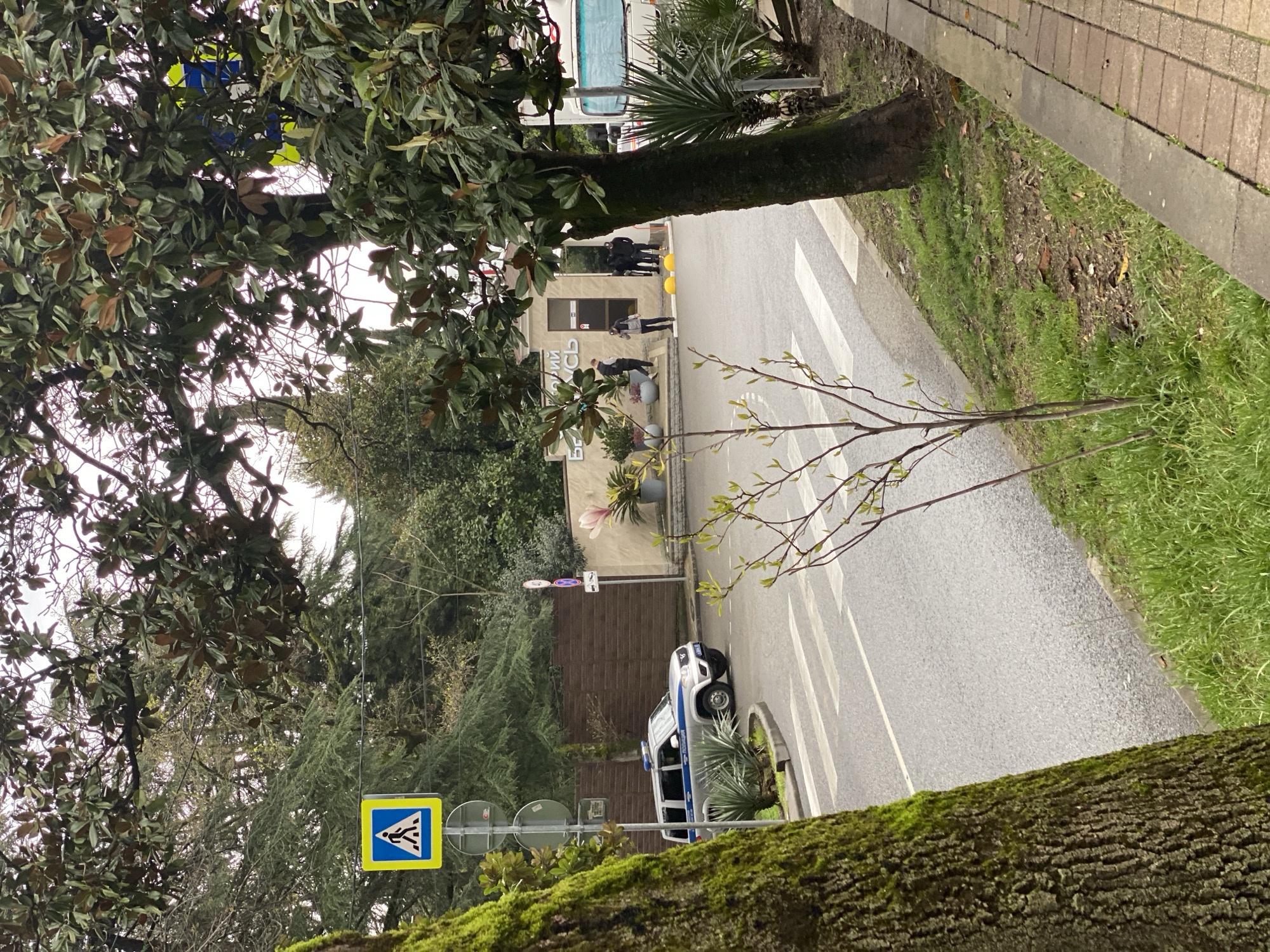 The scene depicts a street in Sochi, Russia. A police car is parked on the side of the road near a crosswalk. Several people are near a building with signage in Russian. A pedestrian crossing sign is visible. Lush greenery is present, including trees and grass. The road is paved, and a sidewalk is present on one side. The weather appears overcast.