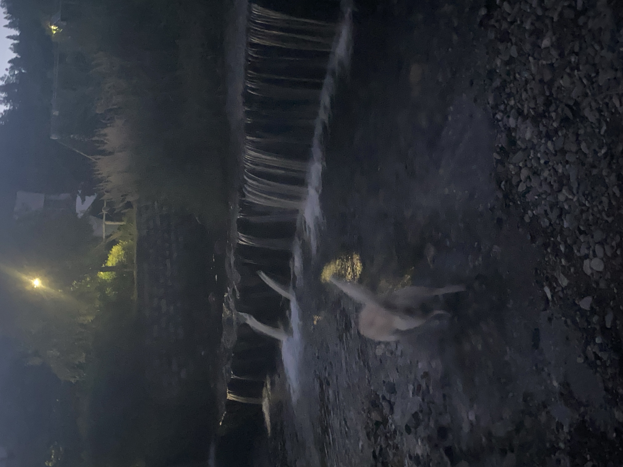 The image depicts a dog standing in a shallow river at dusk. The dog, light-colored and facing away from the camera, is in the foreground. Behind the dog, a series of small waterfalls cascade over a man-made structure that spans the width of the river. The surrounding environment is dark, with trees and vegetation visible on the banks of the river. A single streetlamp illuminates a portion of the scene from the upper left. The location appears to be an outdoor area with natural and man-made features, possibly a park or a recreational area within or near the city of Blagoevgrad, Bulgaria, given the context. The lighting suggests it is either early morning or evening, with artificial light supplementing the fading natural light. The water is slightly disturbed by the dog's presence and the waterfalls. The riverbed is composed of stones and pebbles.