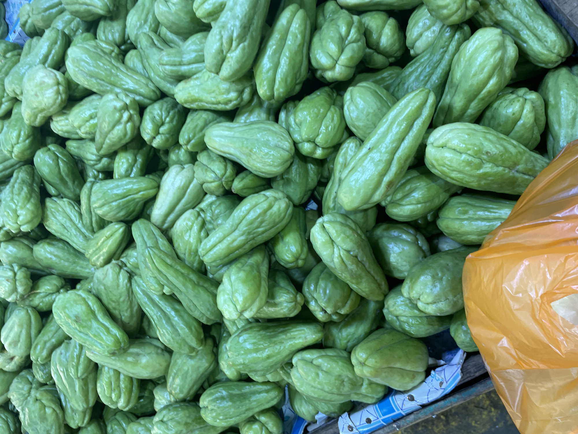 A close-up, high-angle photograph captures a dense, bulk display of fresh, light to medium green chayote (sayote) in a market setting within Davao City, Philippines. The chayotes are pear-shaped with prominent longitudinal ridges and a smooth to slightly textured skin, indicating their raw and unprocessed state. They are piled high, filling most of the frame, suggesting a large quantity for sale. In the bottom left corner, a small segment of a blue and white patterned fabric or paper is visible, bordering a dark surface, likely the edge of a display container. Towards the bottom center and right, a portion of an orange plastic bag is visible, partially obscuring some of the vegetables. No individuals, specific actions, or direct interactions are depicted in the static scene of the produce display.