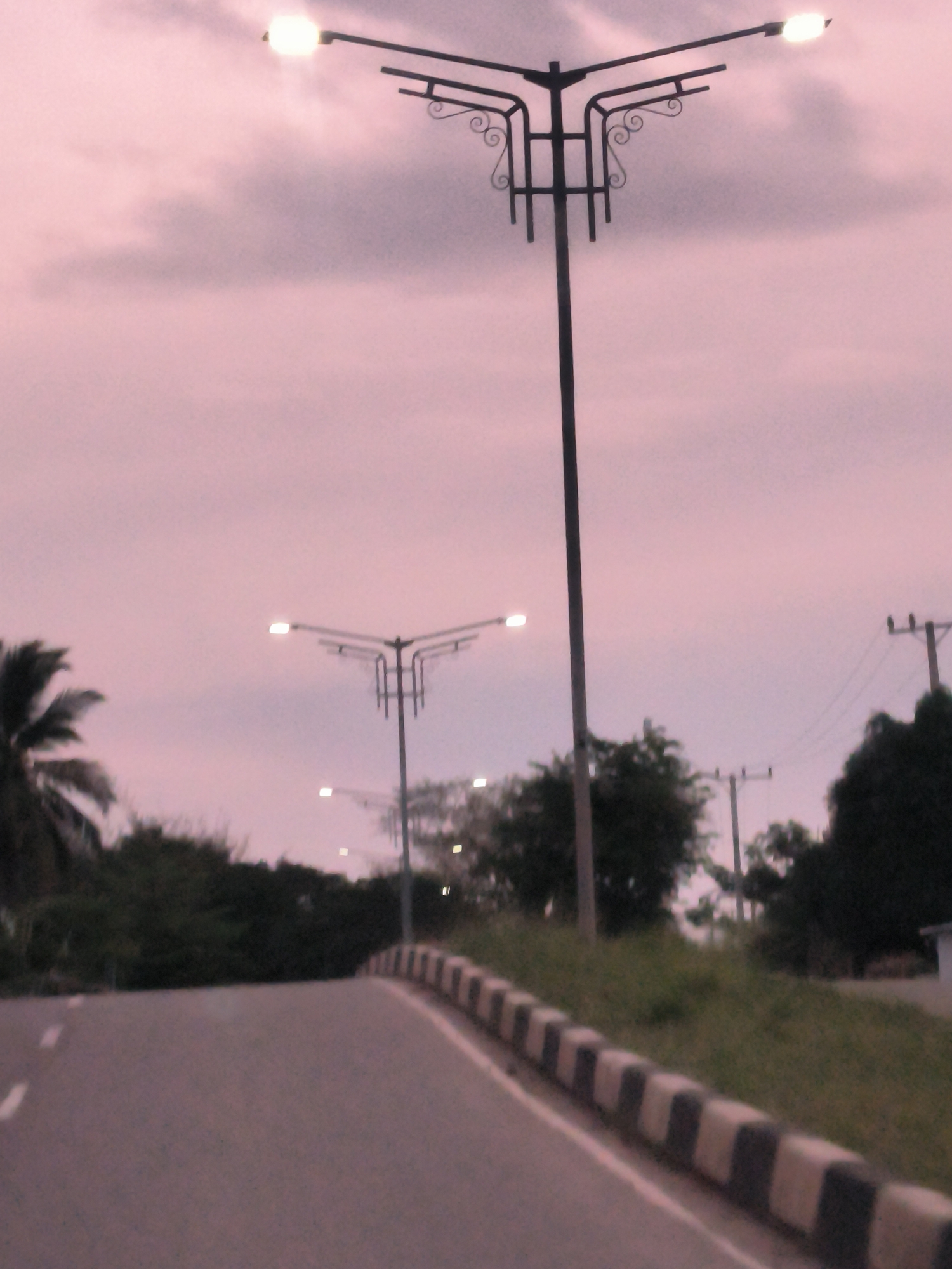 The image depicts an outdoor street scene at either dusk or dawn, characterized by a soft pink and purple sky with light cloud cover. The central focus is a prominent streetlight in the foreground, featuring a dark, ornate metal design with decorative scrollwork supporting two illuminated lamps that cast a soft glow. A series of similar, but less distinct, streetlights extend into the background along a gently curving road.
The asphalt road, visible in the lower half of the image, has a white dashed line on its left side and appears to ascend slightly. Along the right side of the road, a barrier composed of alternating black and white striped concrete blocks delineates the road from a grassy embankment. Beyond this embankment, lush green trees and dense foliage are present. On the far left, the distinct fronds of a palm tree are visible against the colored sky. Further into the background on the right, utility poles with power lines can be seen. No people or specific activities are observable, and there is no visible text. The illuminated streetlights against the twilight sky evoke a peaceful transition from day to night. The presence of palm trees and general infrastructure aligns with the context of Cotmalem, Indonesia.