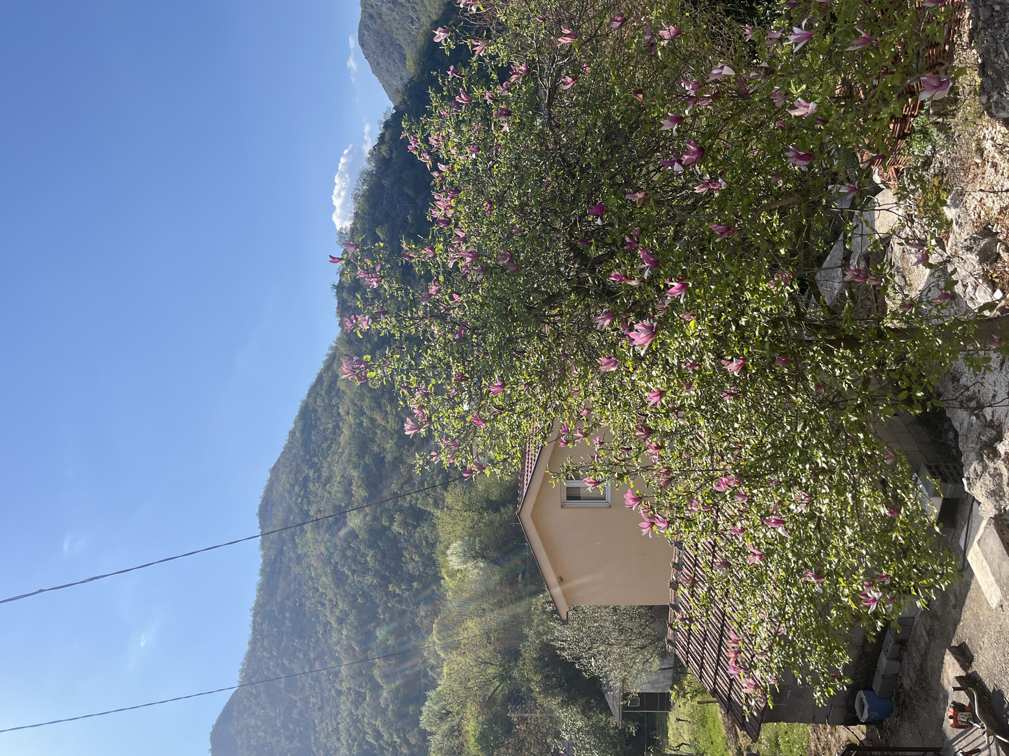 The image shows a scene in Godinje, Montenegro. A house with a light yellow exterior and a brown tiled roof is partially visible behind a large tree with pink blossoms. The tree is in full bloom and dominates the foreground. In the background, a mountain covered in green vegetation rises towards a clear blue sky with wisps of clouds. Power lines cut across the upper left portion of the frame. A subtle rainbow-like light effect is visible on the left side of the house. To the right of the house and tree is a stone wall.