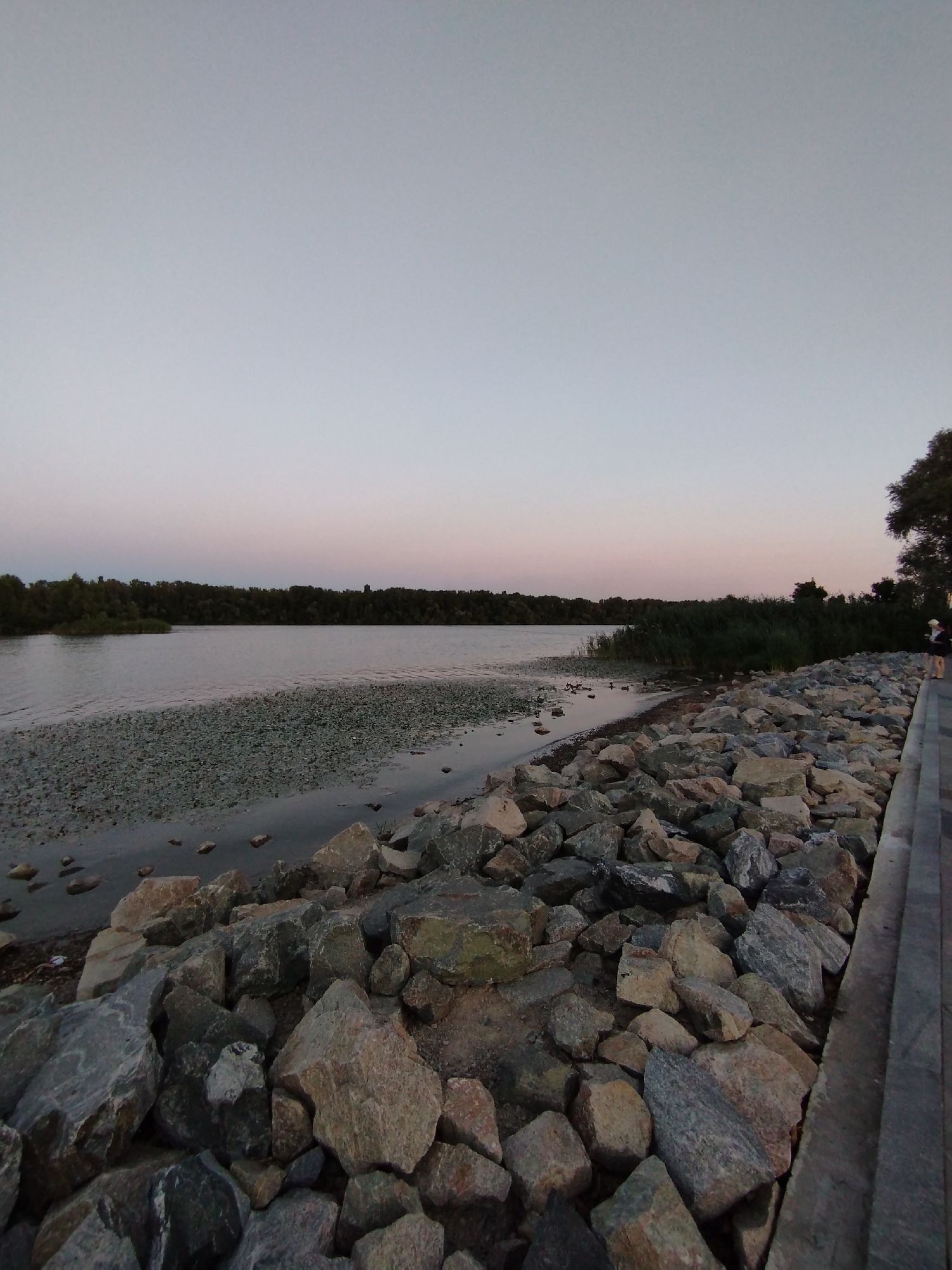 The image depicts a serene waterfront scene at dusk in an unspecified location. The foreground is dominated by a rocky embankment, with large, irregularly shaped stones of varying grays and browns creating a textured surface. To the left, a body of calm water stretches towards a distant, tree-lined horizon. The water's edge is dotted with small pebbles and some submerged rocks. In the mid-ground, tall reeds grow along the water's bank. Further in the distance, a dense forest forms a dark, unbroken line against the sky. The sky itself is a gradient of soft hues, transitioning from a pale blue at the top to a delicate pinkish-purple near the horizon, indicative of twilight. On the far right, a paved walkway runs alongside the rocky embankment, and a lone figure, a woman wearing a white hat and dark clothing, is walking away from the camera. The overall atmosphere is tranquil and natural, with a hint of human presence.