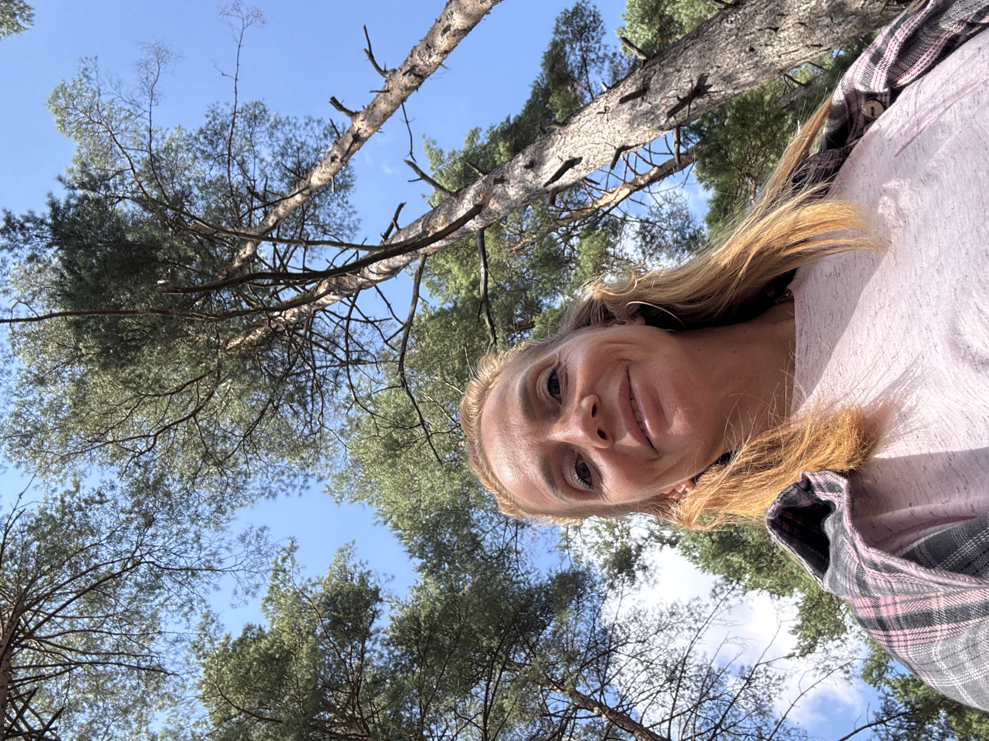This is a low-angle, wide shot selfie of a woman in a forest, likely in the city of Gromovo, Russia, given the presence of tall, coniferous trees. The woman, who appears to be in her late 30s or early 40s, has blonde hair and is smiling directly at the camera. She is wearing a light pink t-shirt and a plaid jacket draped over her shoulders. The background consists of a clear blue sky and the trunks and branches of several tall pine trees. The sunlight suggests it is daytime.